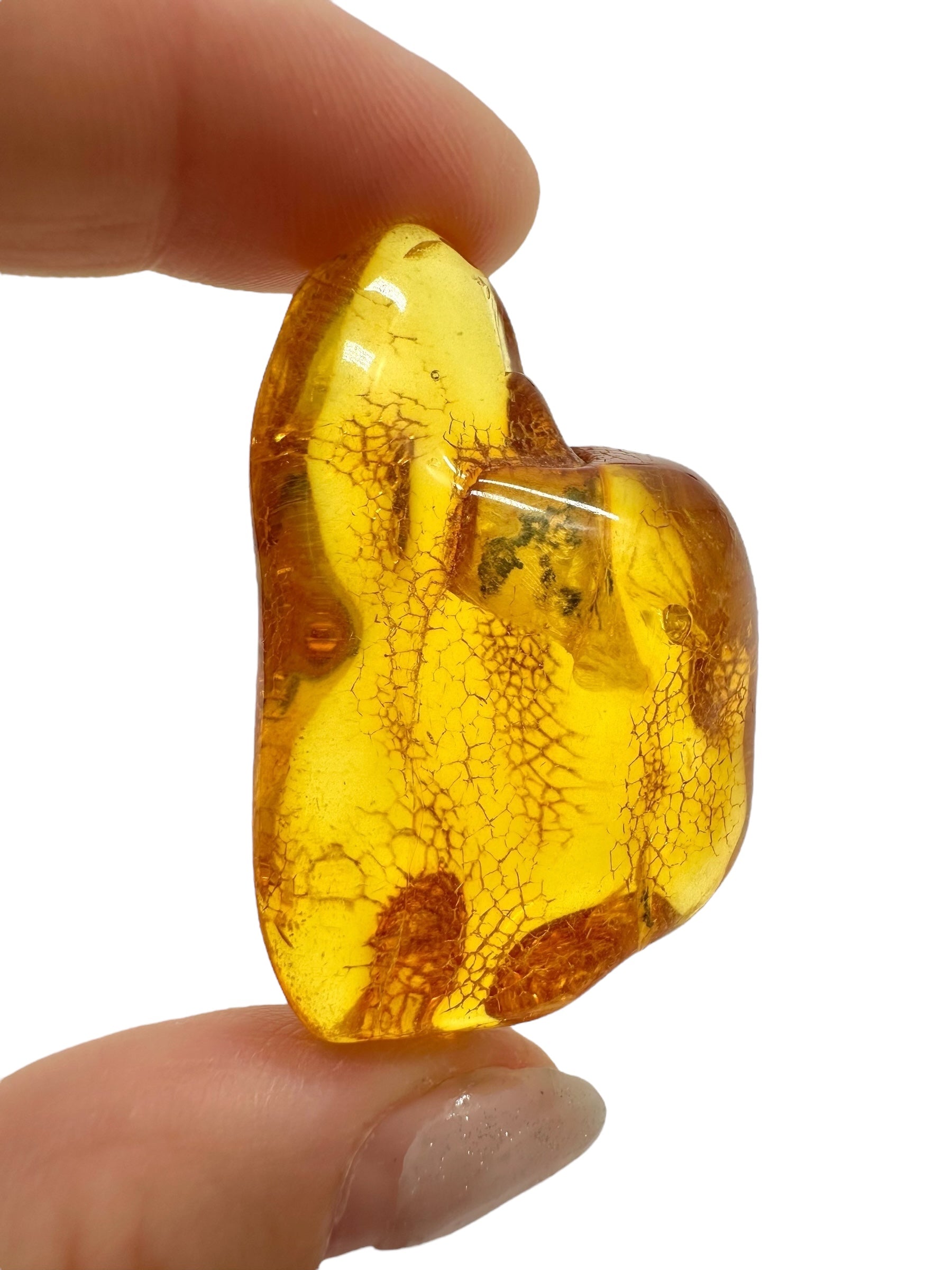 Amber 11,3g – Lithuania - JN500