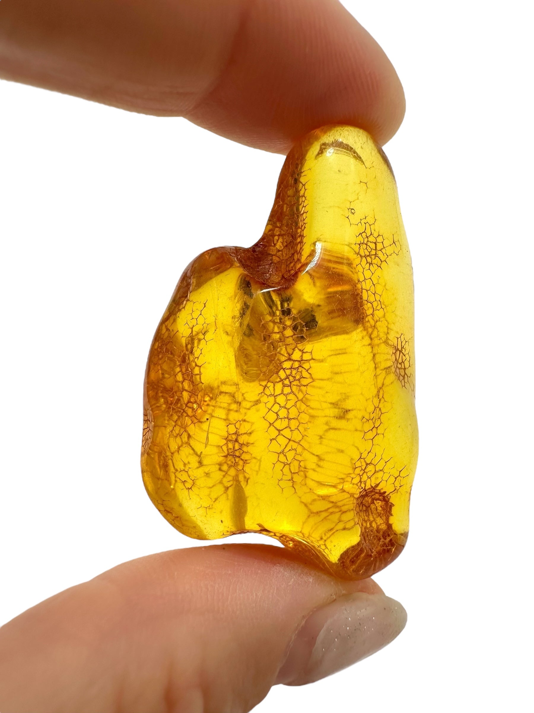 Amber 11,3g – Lithuania - JN500