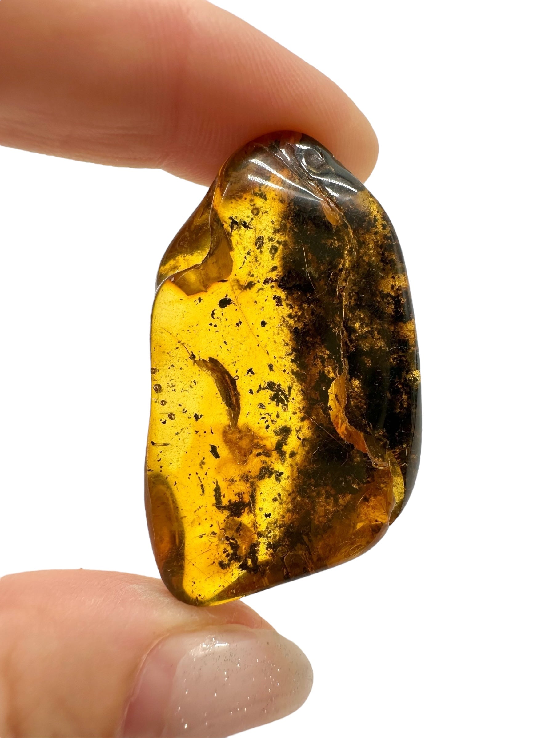 Amber 9,9g – Lithuania - JN501