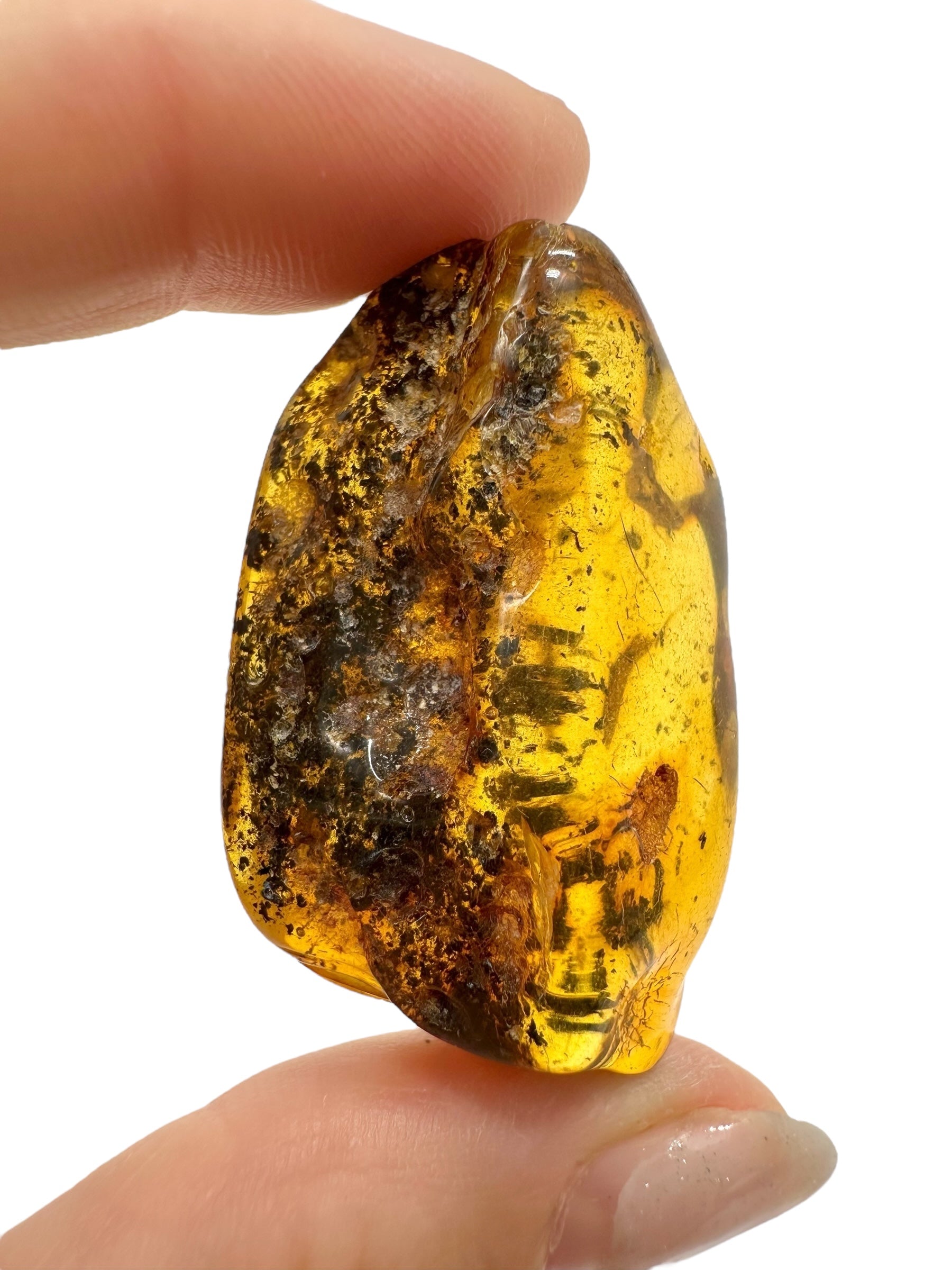 Amber 9,9g – Lithuania - JN501