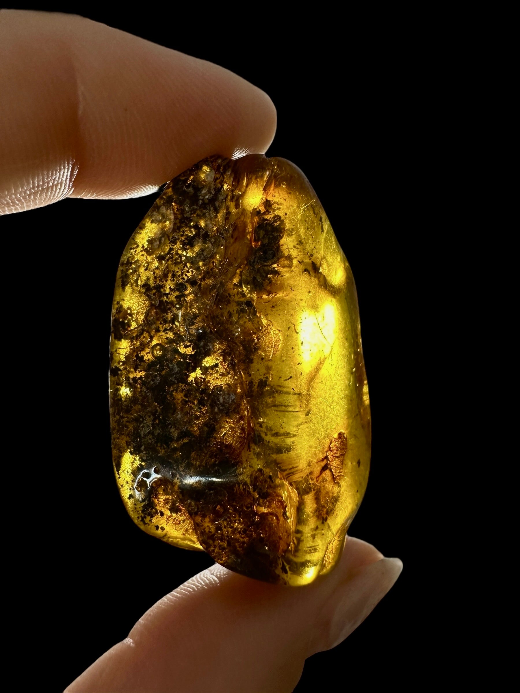 Amber 9,9g – Lithuania - JN501
