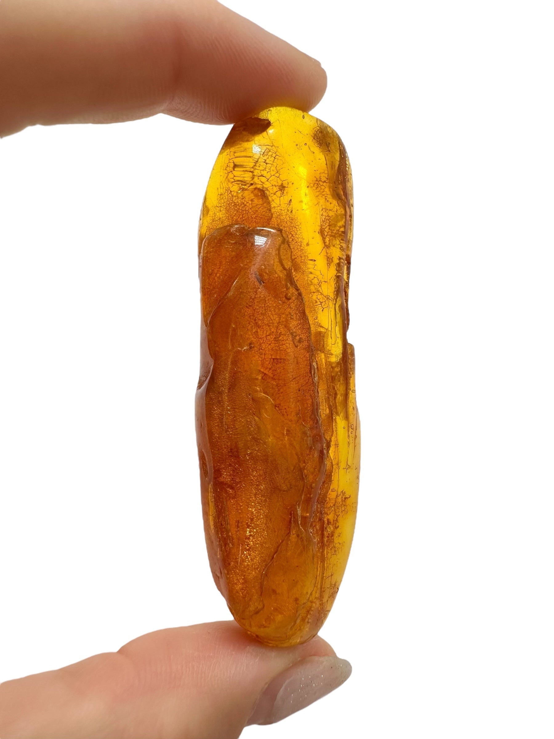 Amber 11,4g – Lithuania - JN502