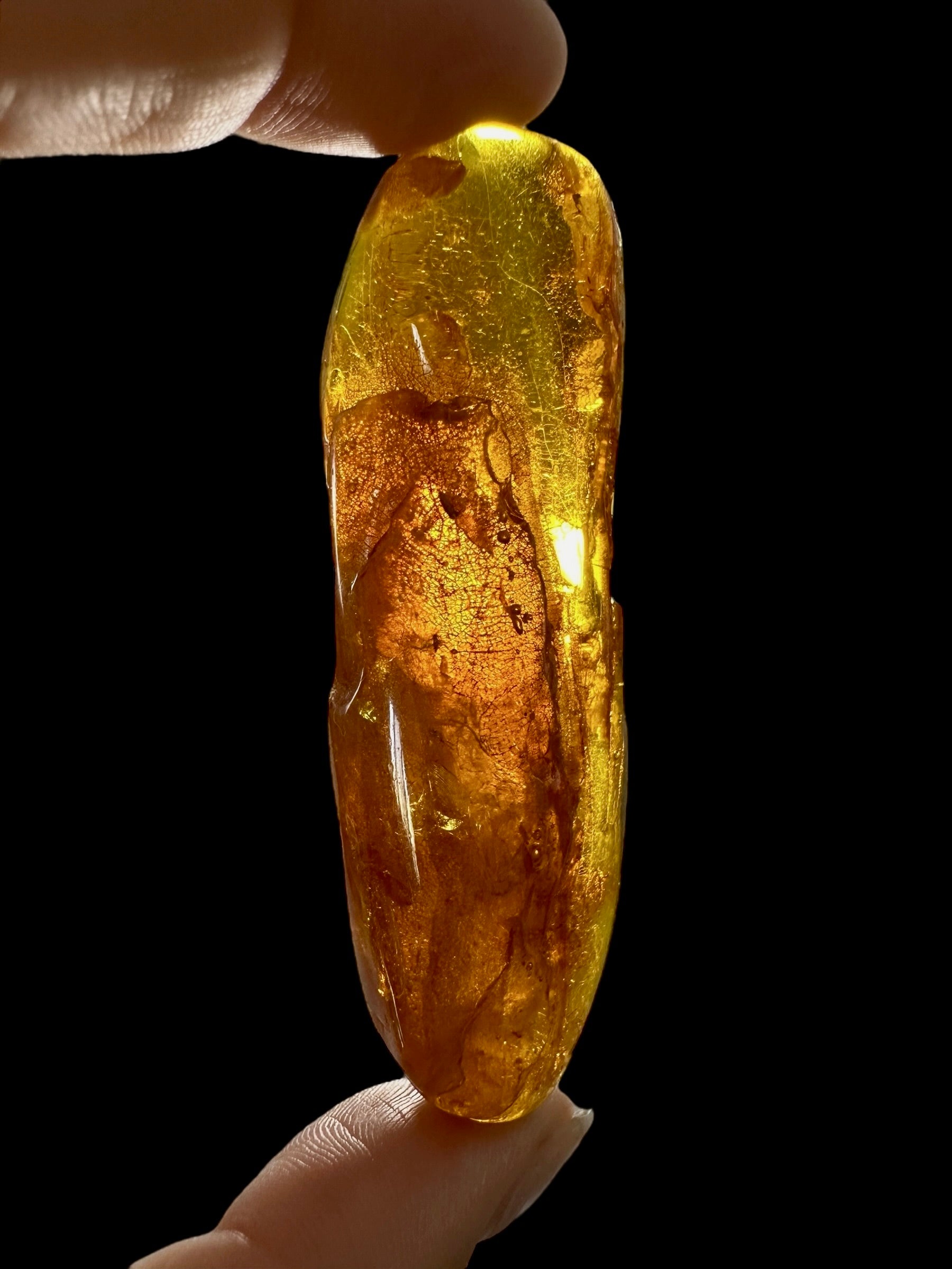 Amber 11,4g – Lithuania - JN502