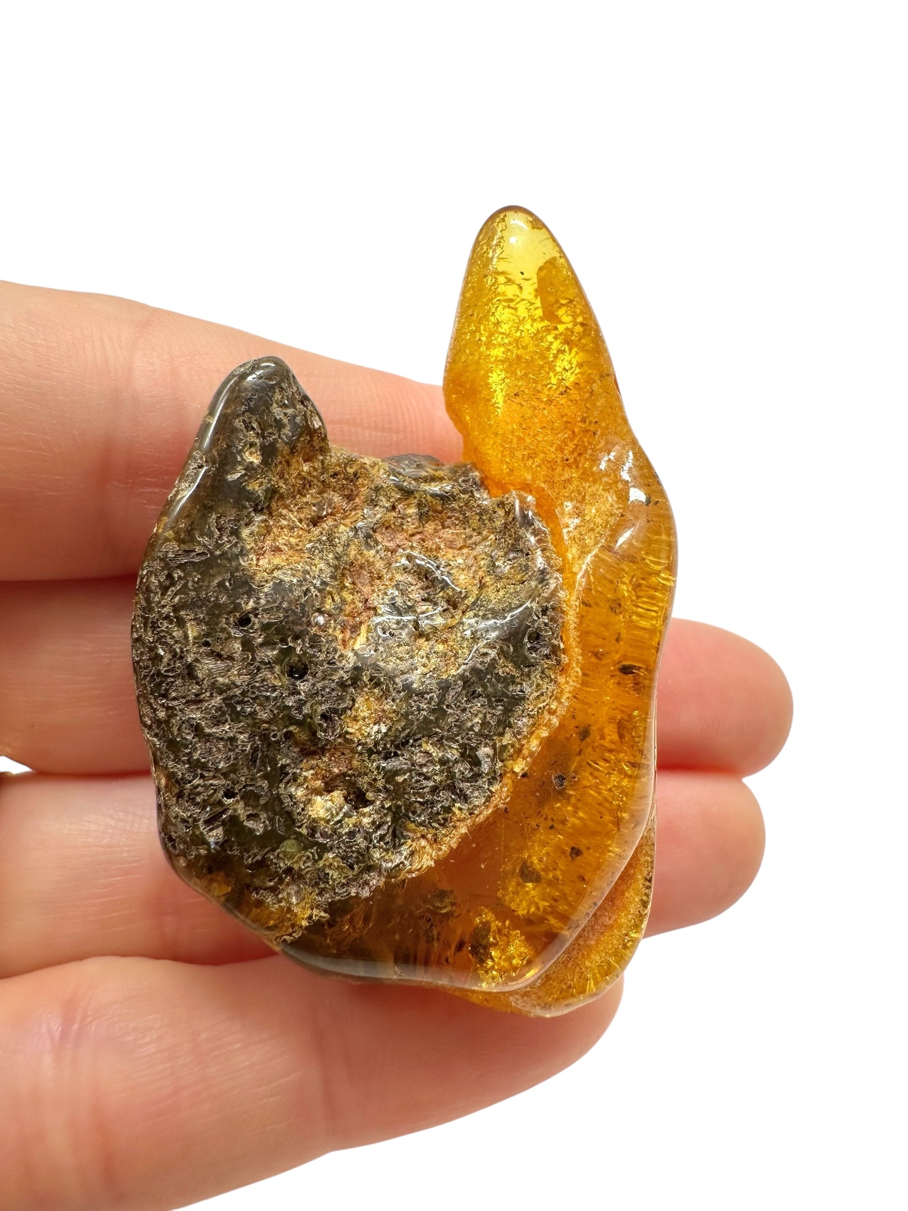 Amber 11,8g – Lithuania - JN503
