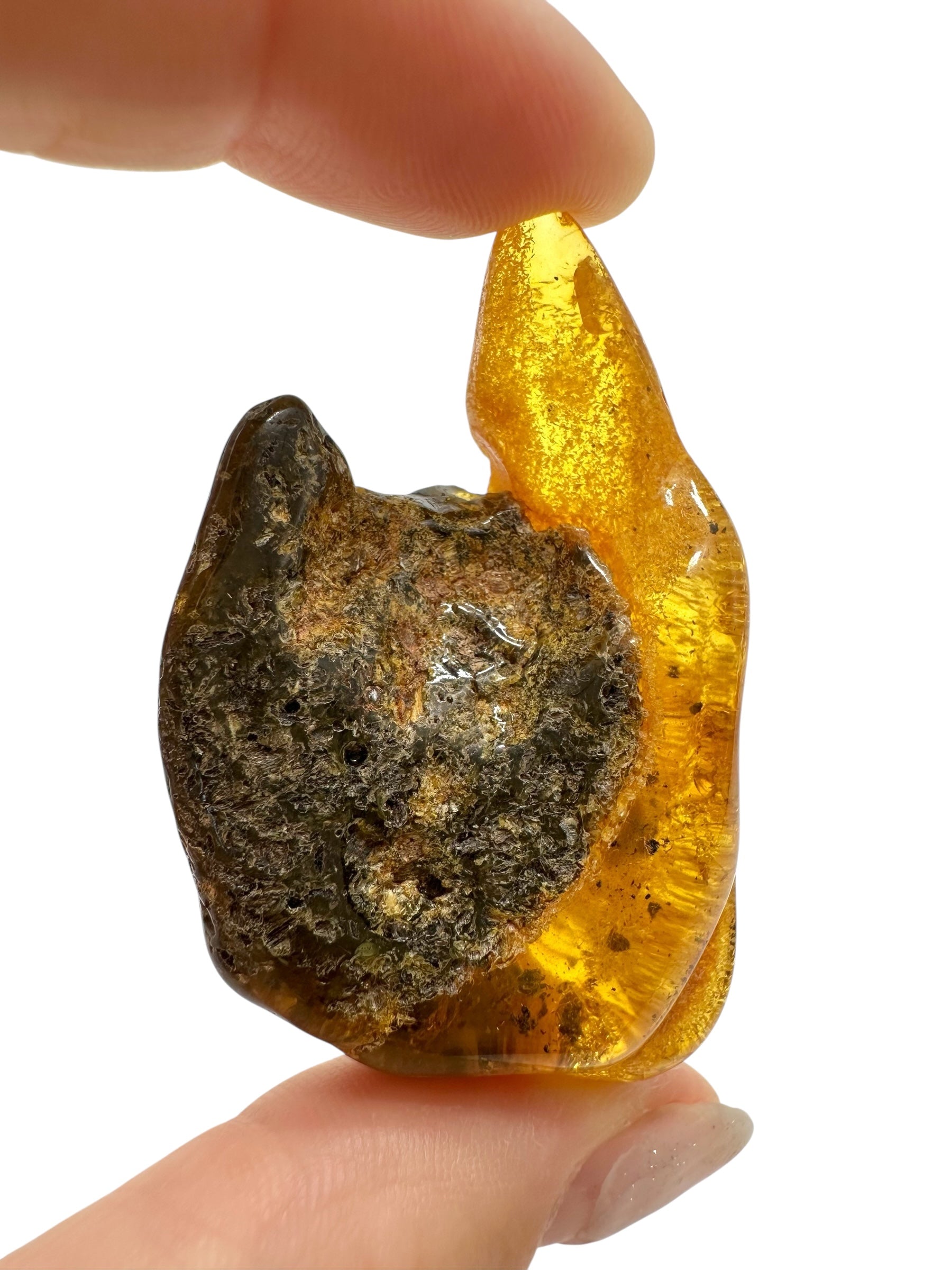 Amber 11,8g – Lithuania - JN503