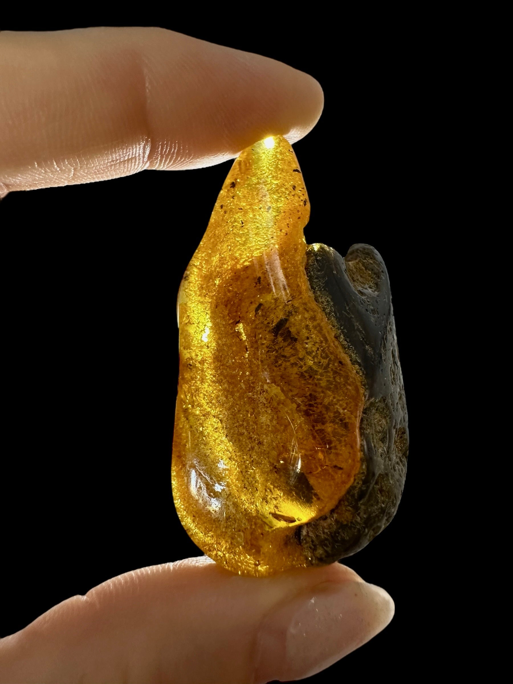 Amber 11,8g – Lithuania - JN503