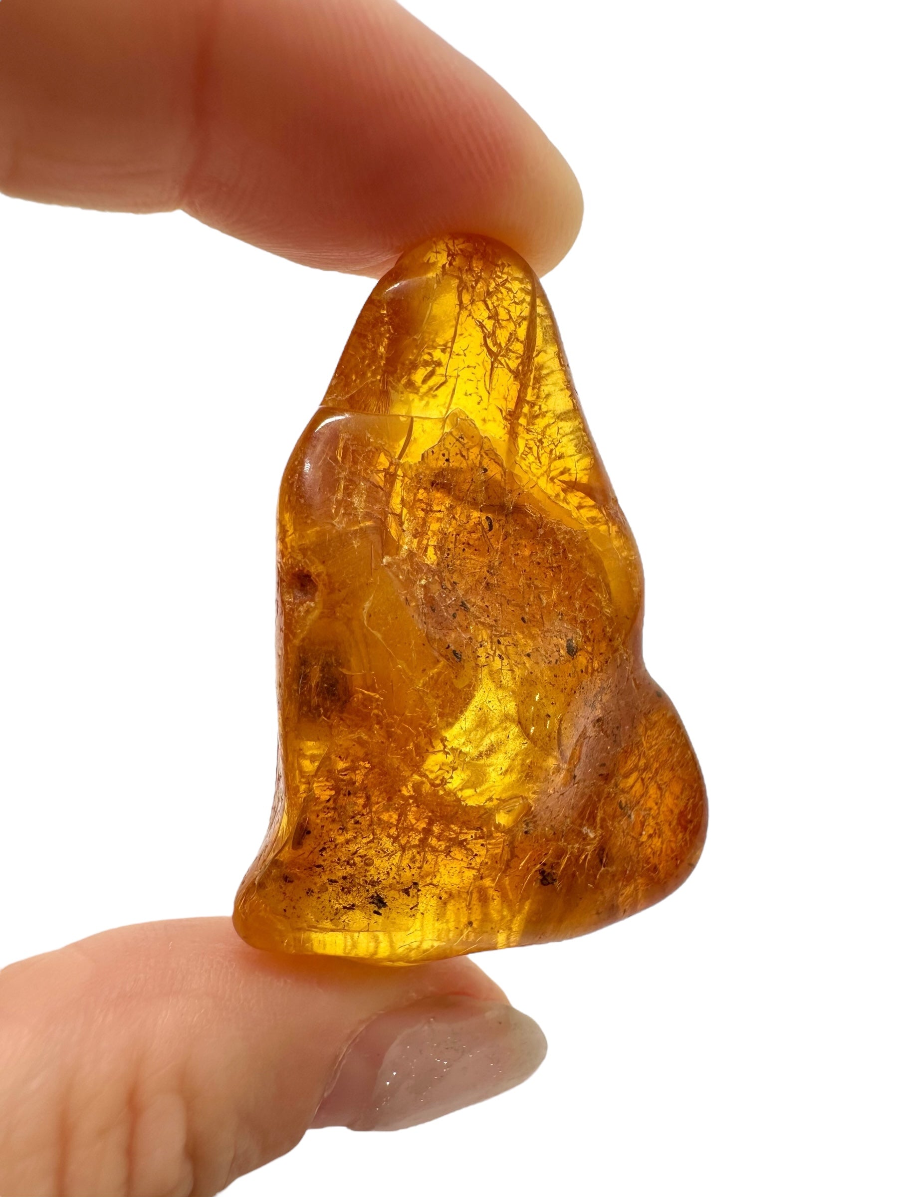 Amber 10g – Lithuania - JN504