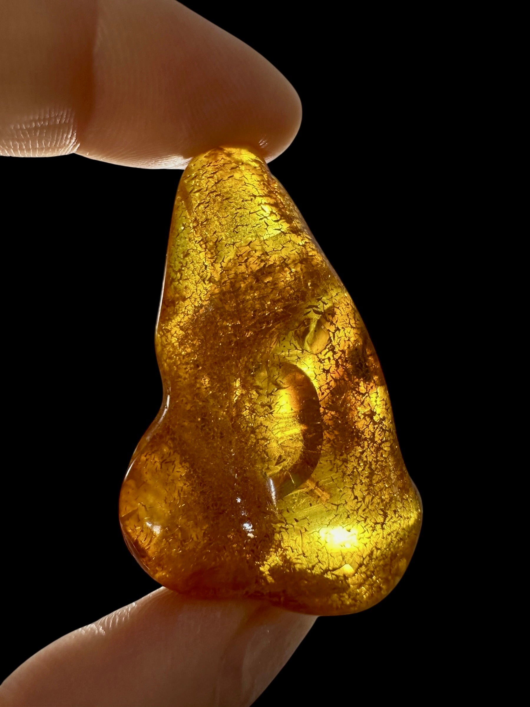 Amber 10g – Lithuania - JN504