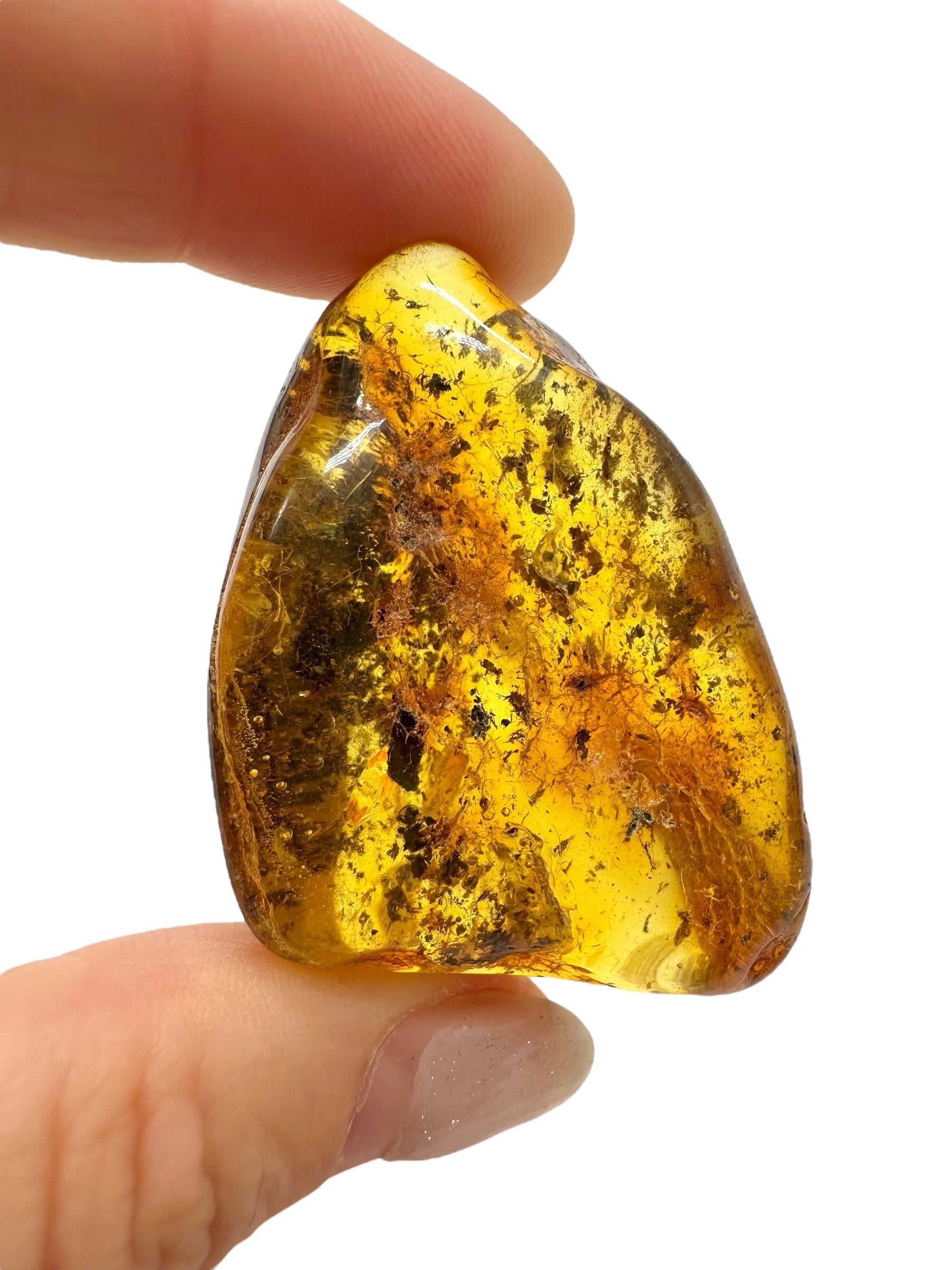 Amber 13,4g – Lithuania - JN505