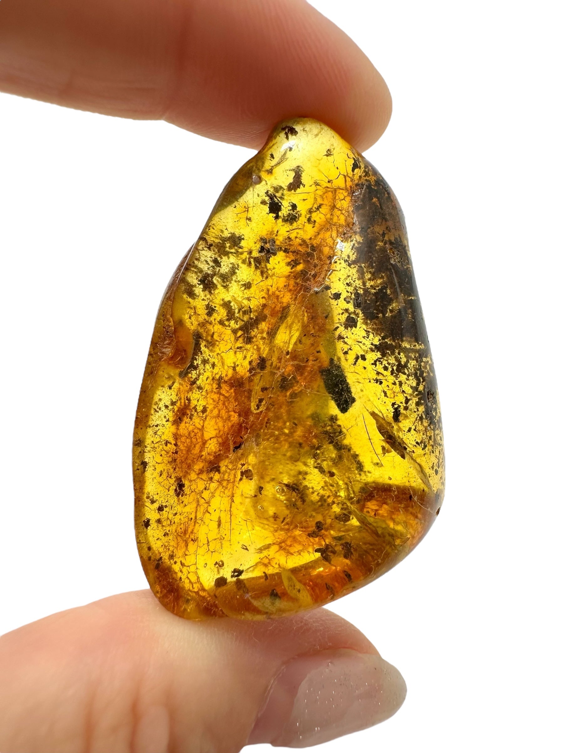 Amber 13,4g – Lithuania - JN505