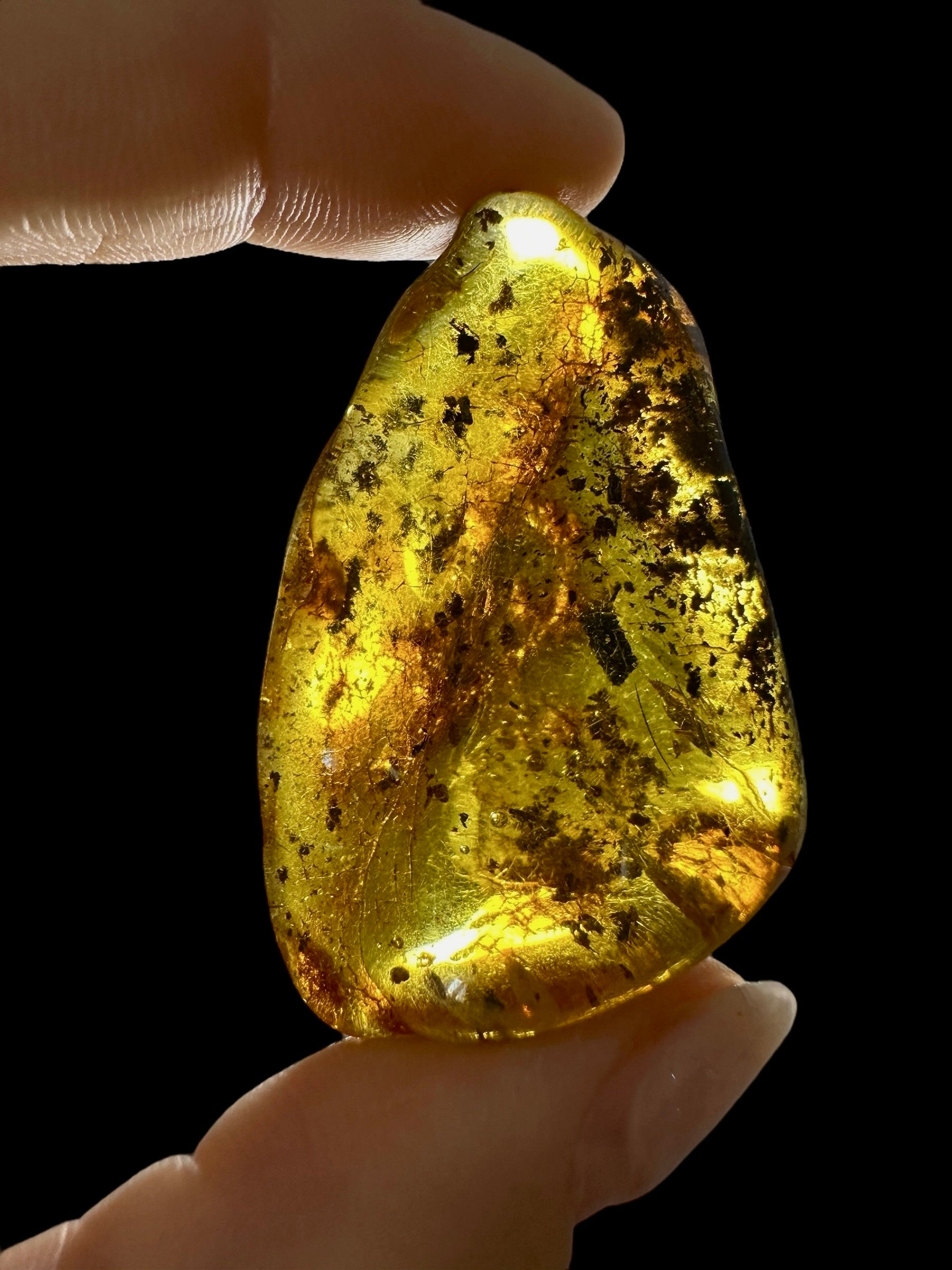 Amber 13,4g – Lithuania - JN505