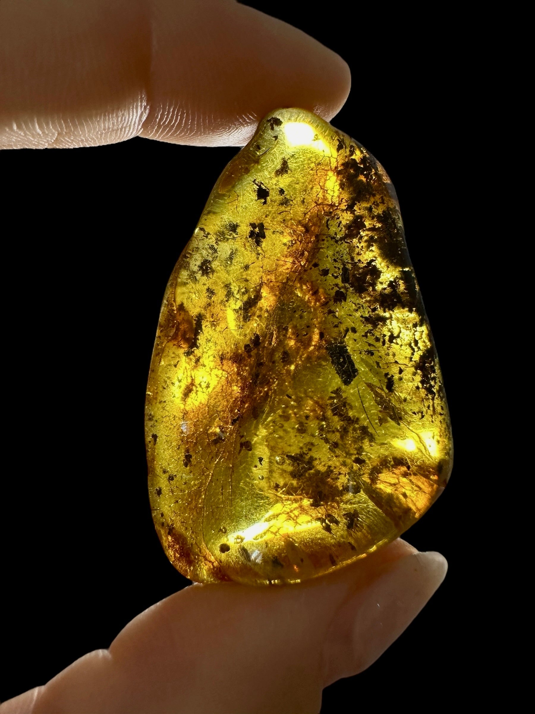 Amber 13,4g – Lithuania - JN505