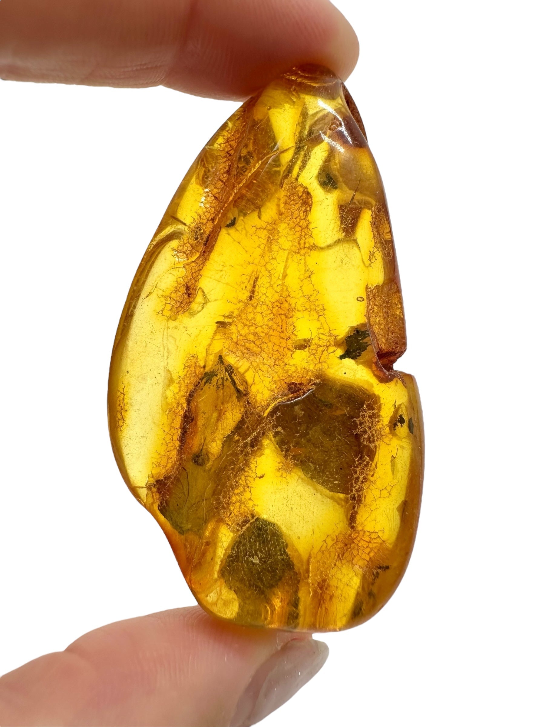 Amber 15,6g – Lithuania - JN506