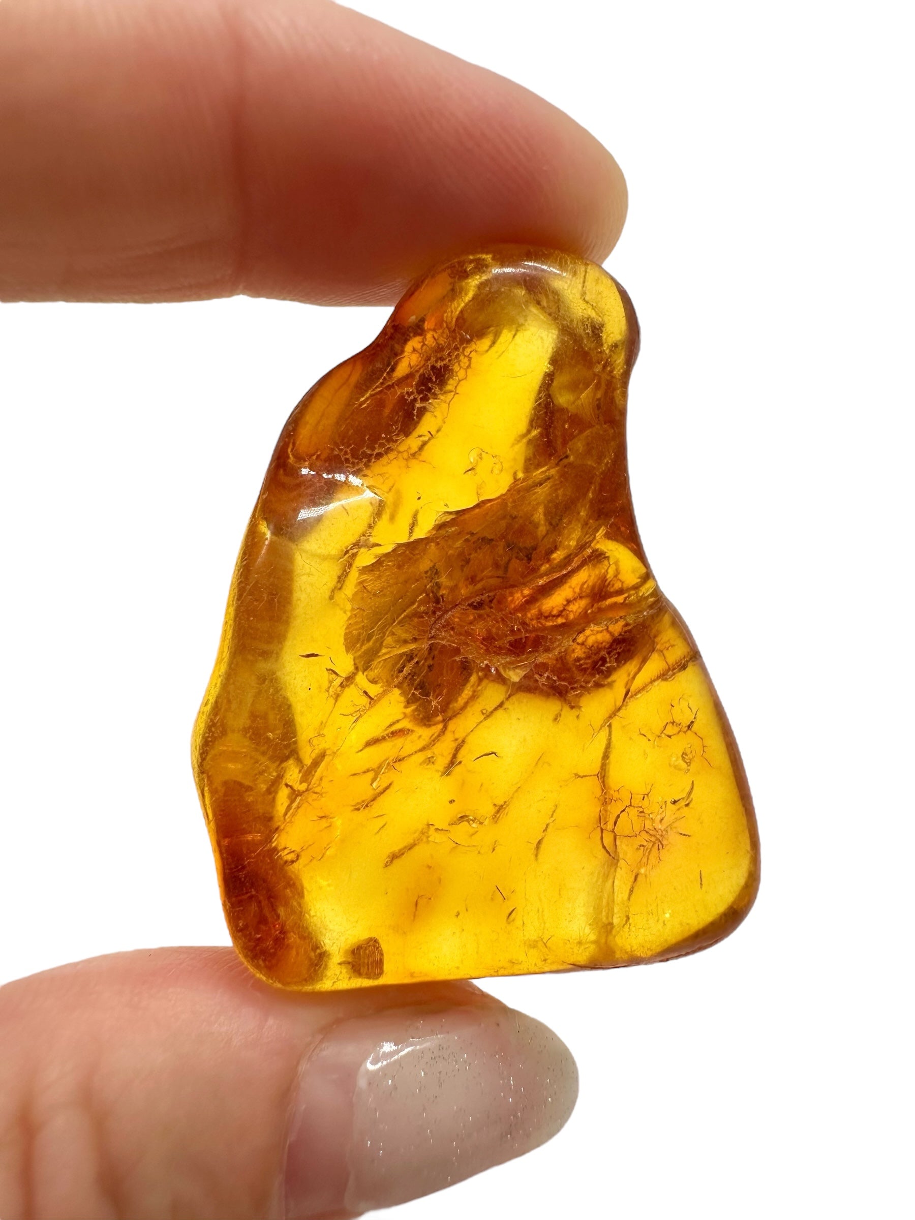 Amber 11,5g – Lithuania - JN507
