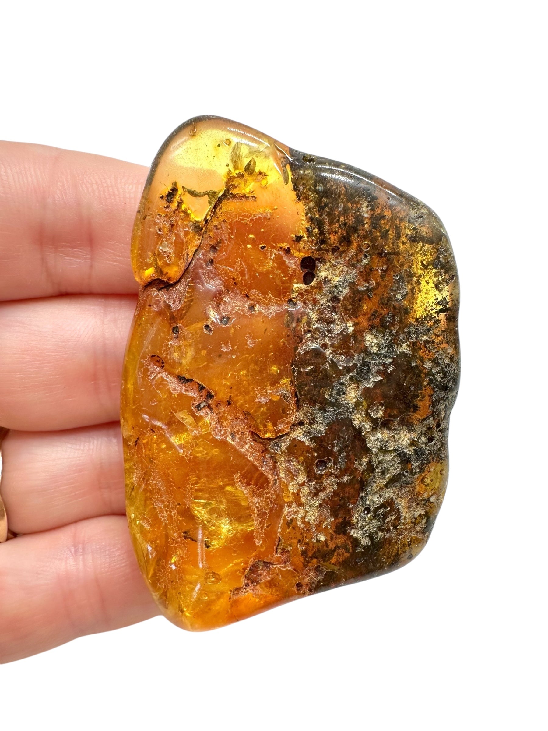 Amber 19,1g – Lithuania - JN509
