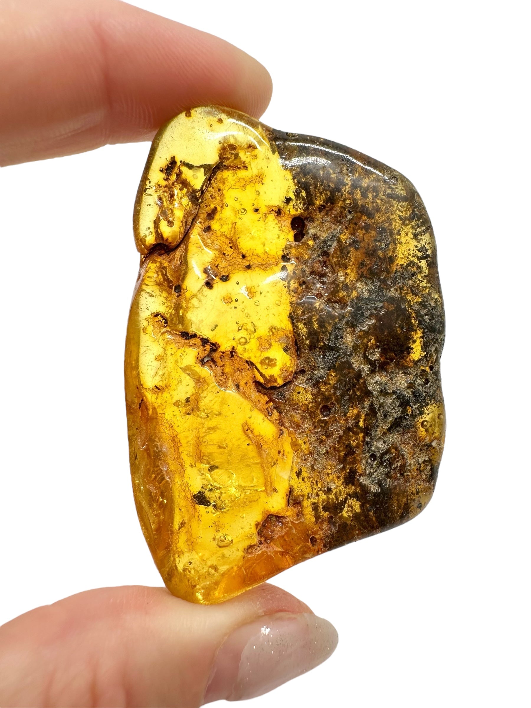 Amber 19,1g – Lithuania - JN509