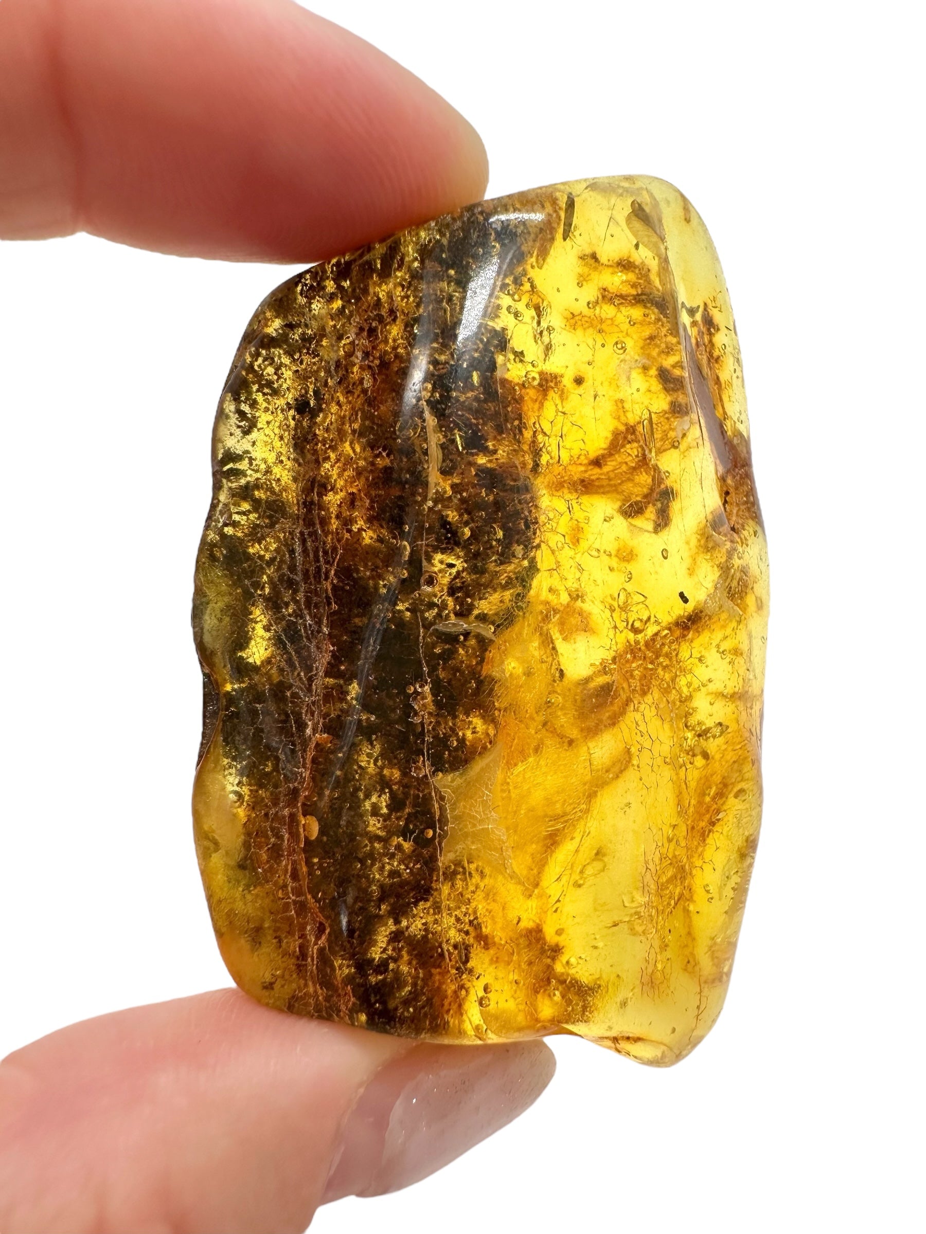 Amber 19,1g – Lithuania - JN509