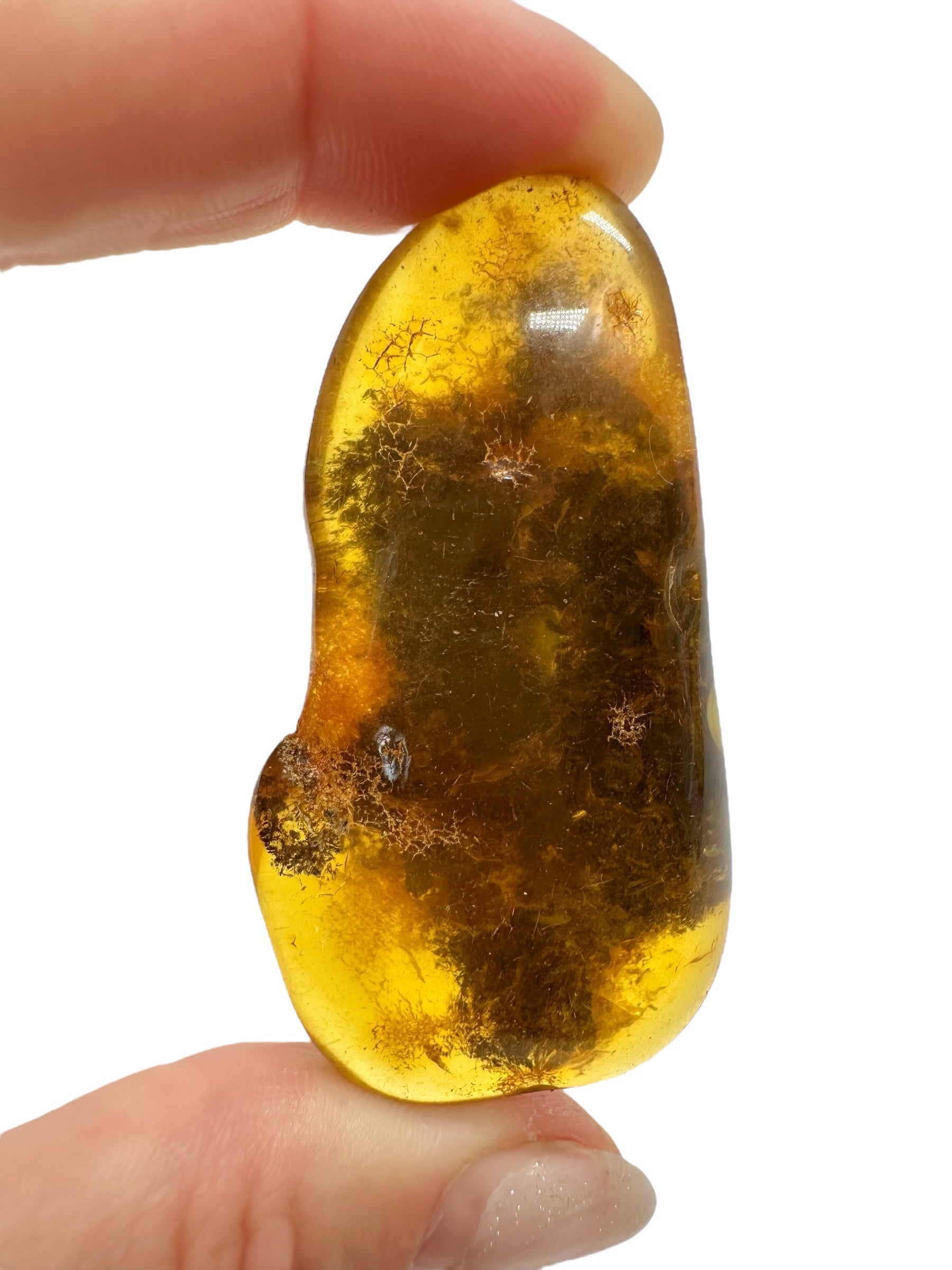 Amber 13,4g – Lithuania - JN511