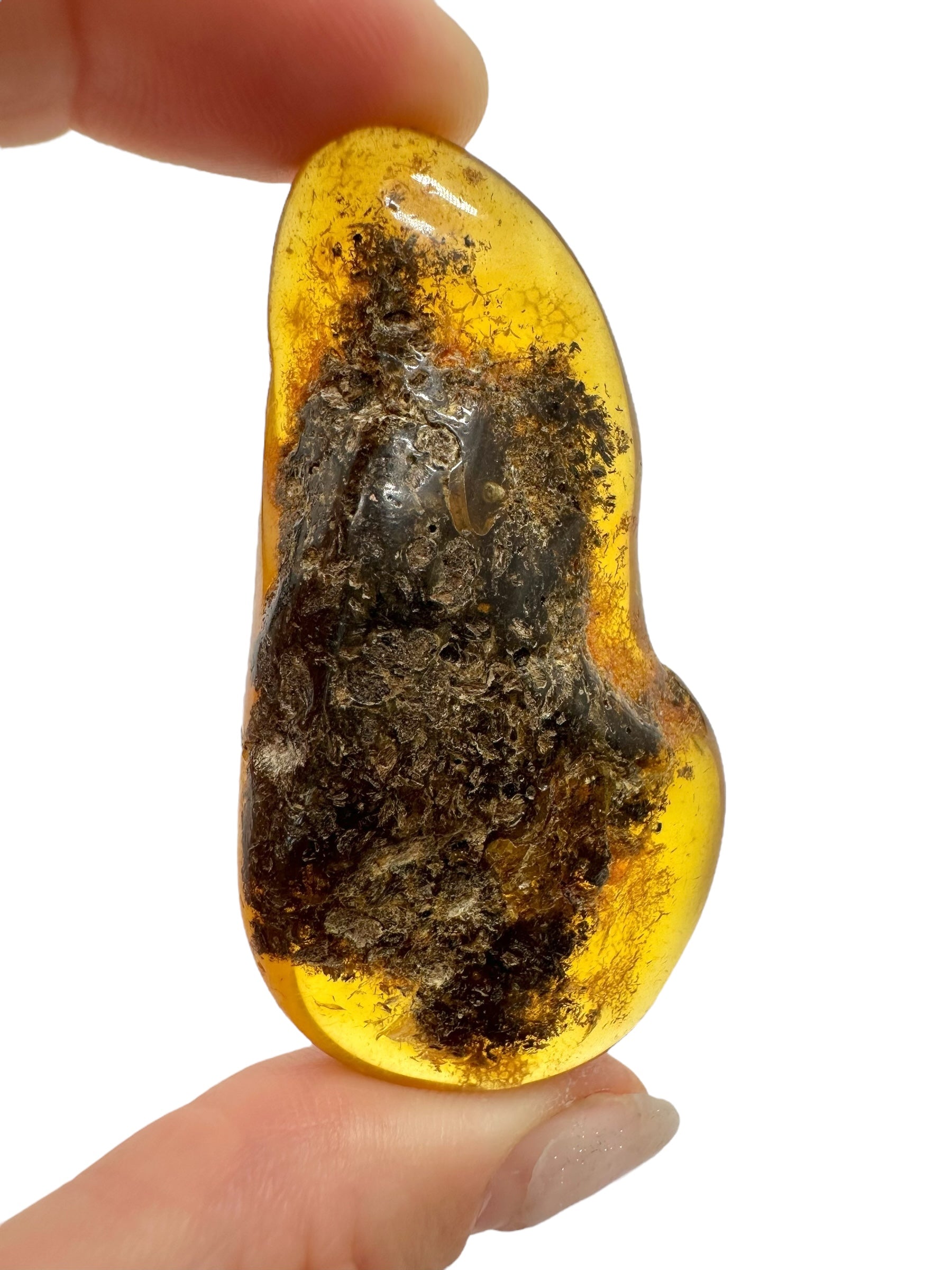 Amber 13,4g – Lithuania - JN511