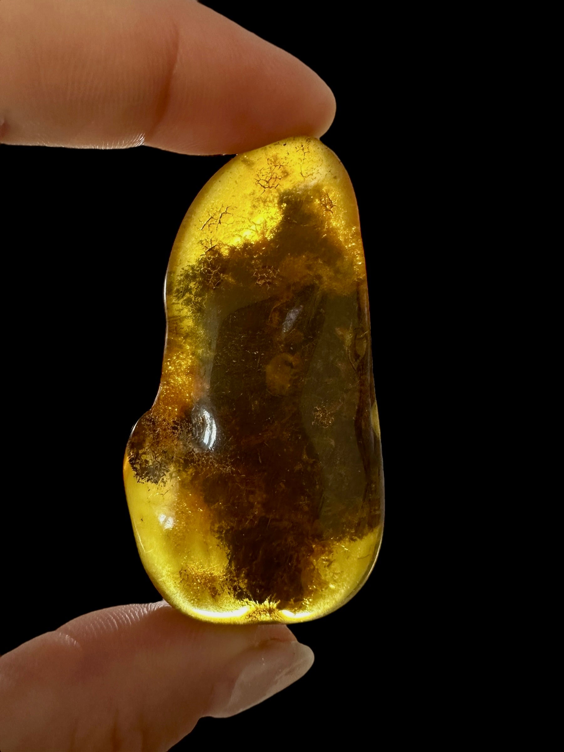 Amber 13,4g – Lithuania - JN511