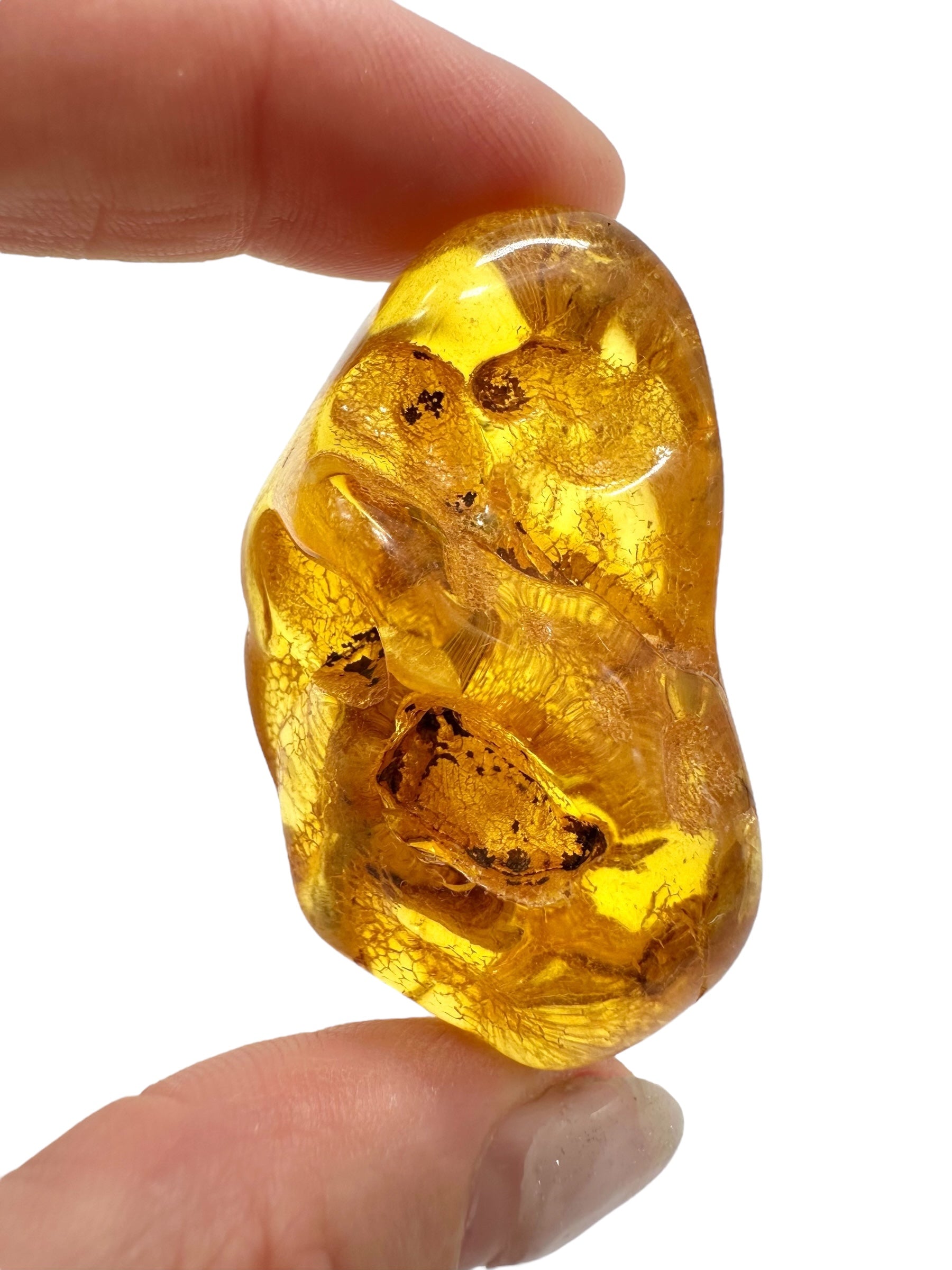Amber 11,9g – Lithuania - JN512
