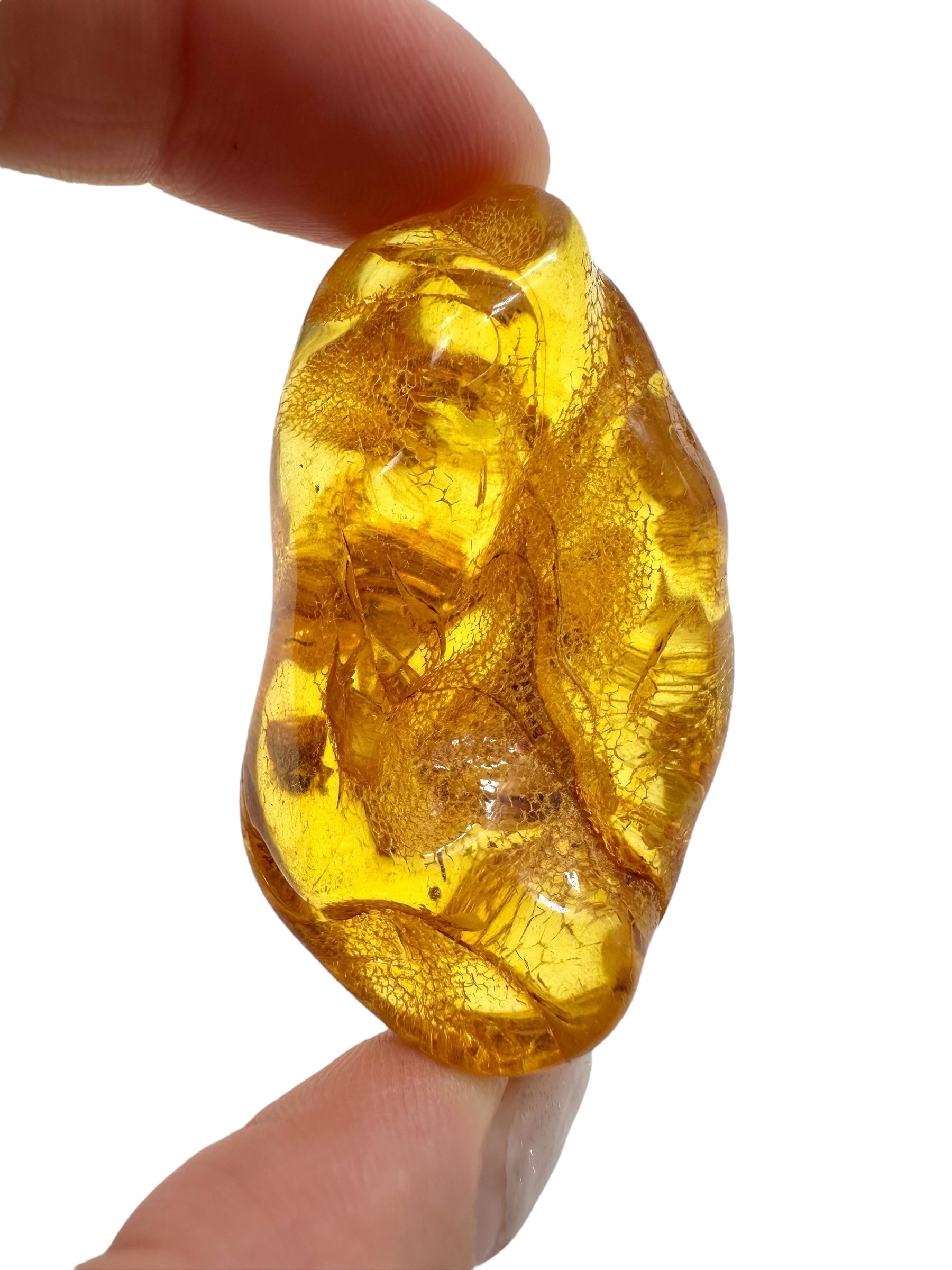 Amber 11,9g – Lithuania - JN512