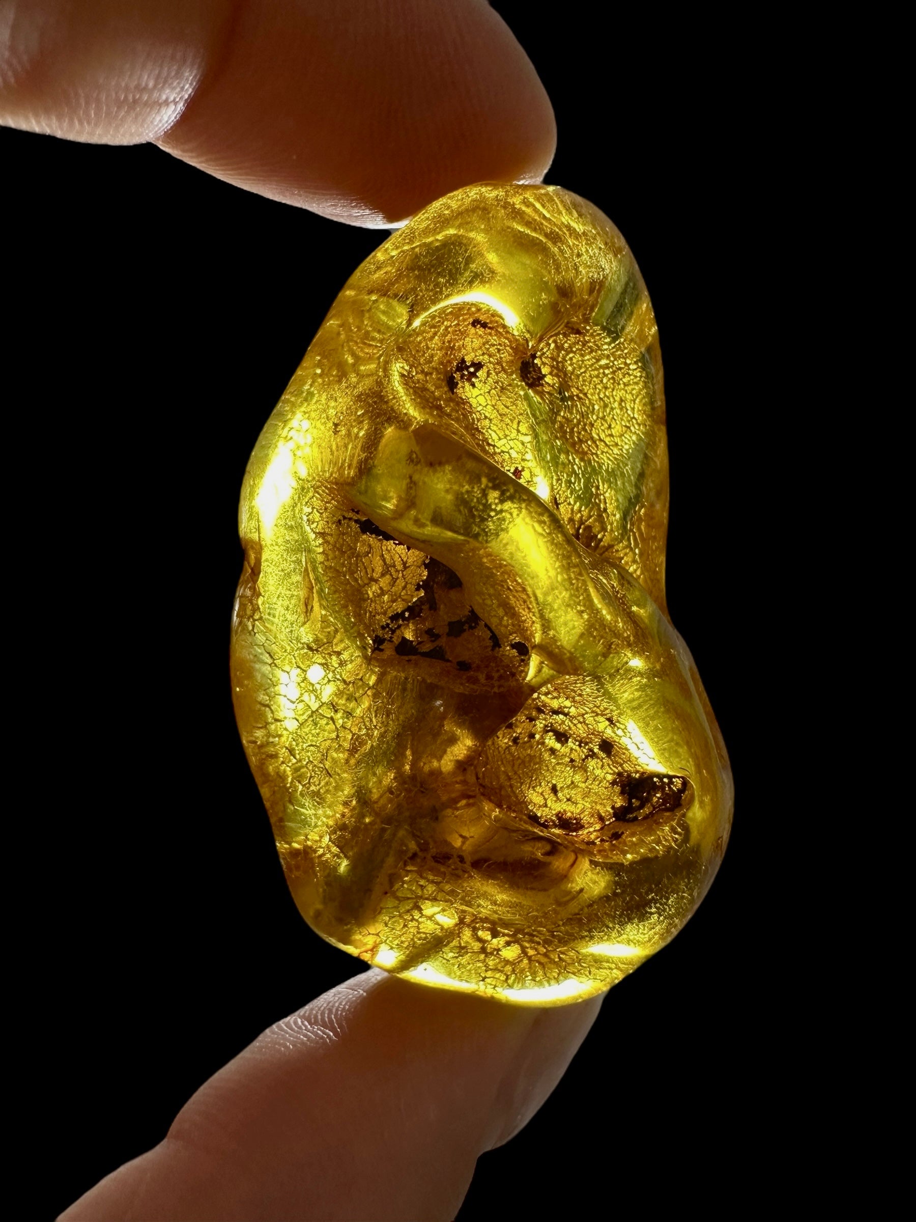 Amber 11,9g – Lithuania - JN512