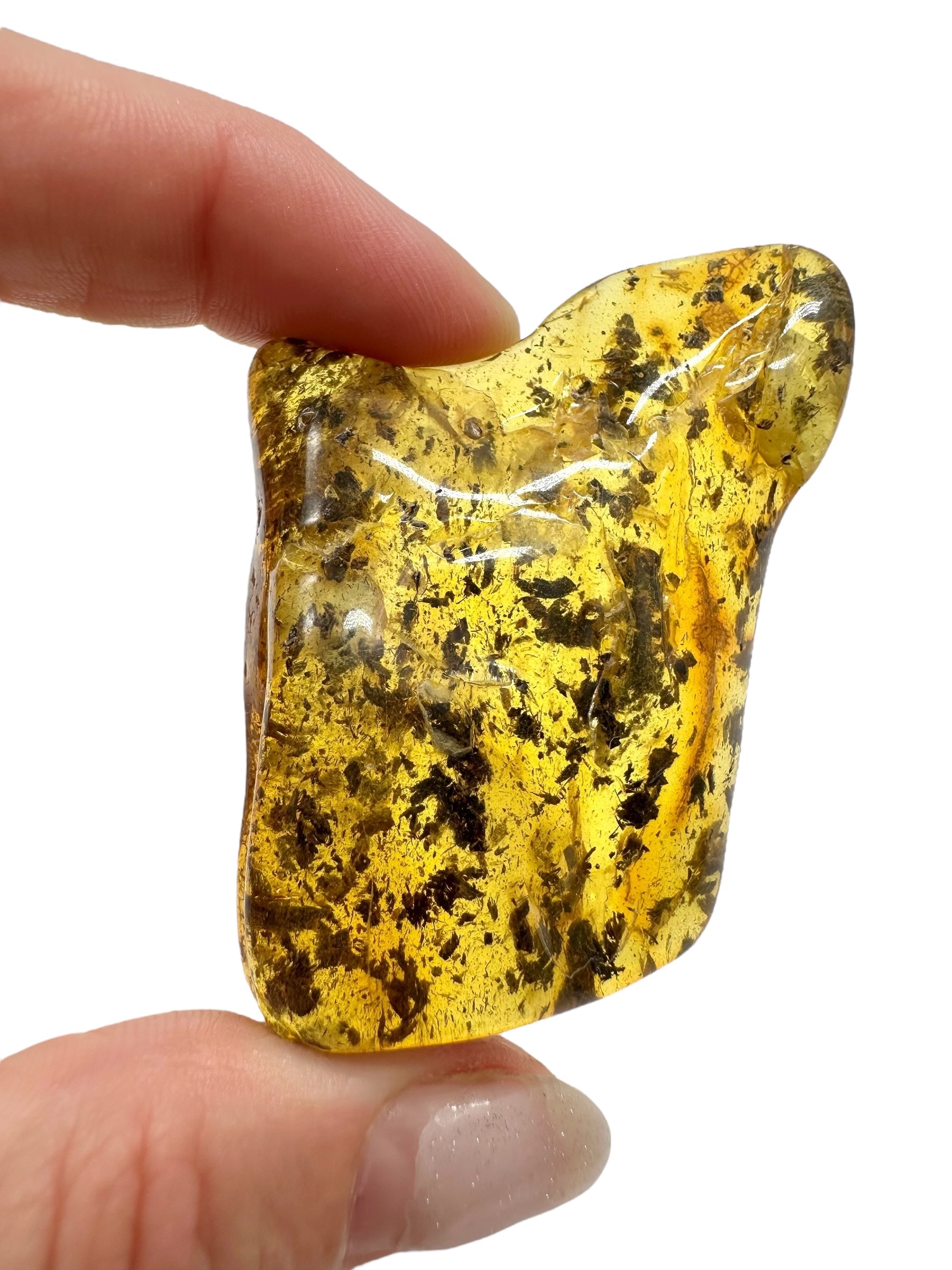 Amber 15,6g – Lithuania - JN513