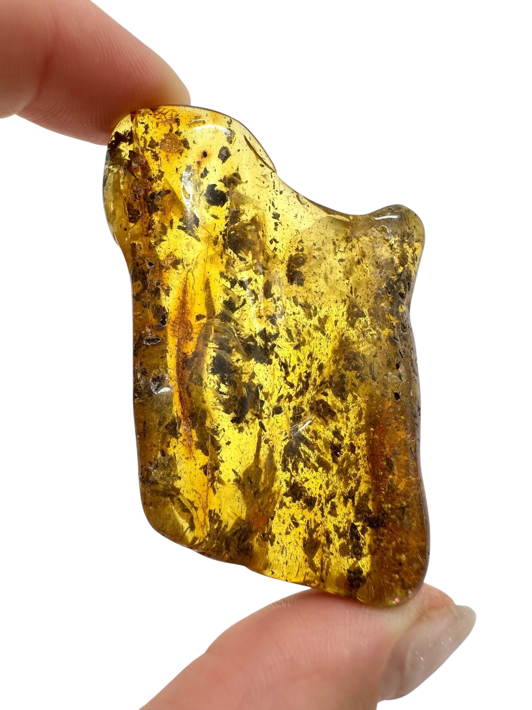 Amber 15,6g – Lithuania - JN513