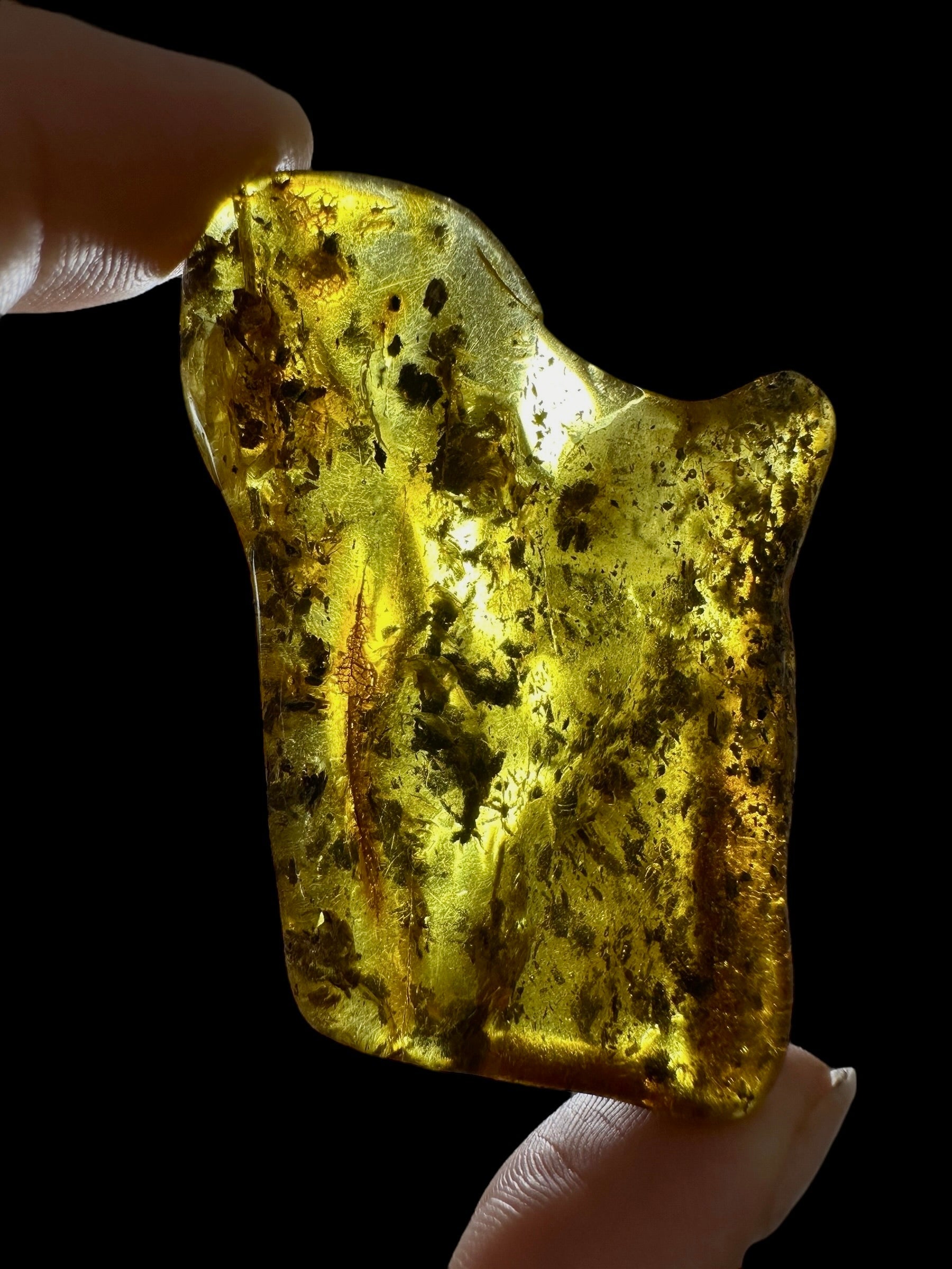 Amber 15,6g – Lithuania - JN513
