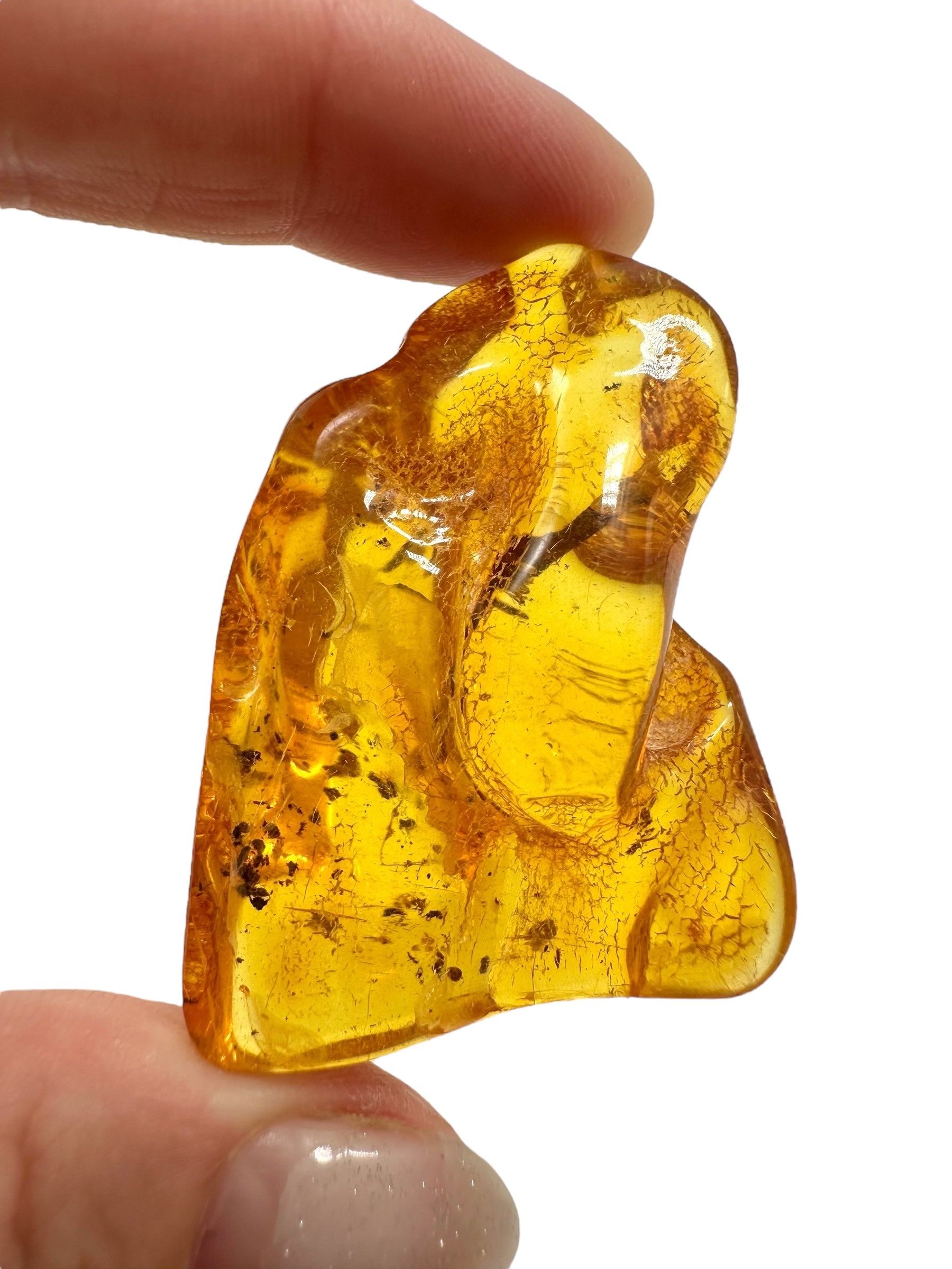 Amber 12,9g – Lithuania - JN514