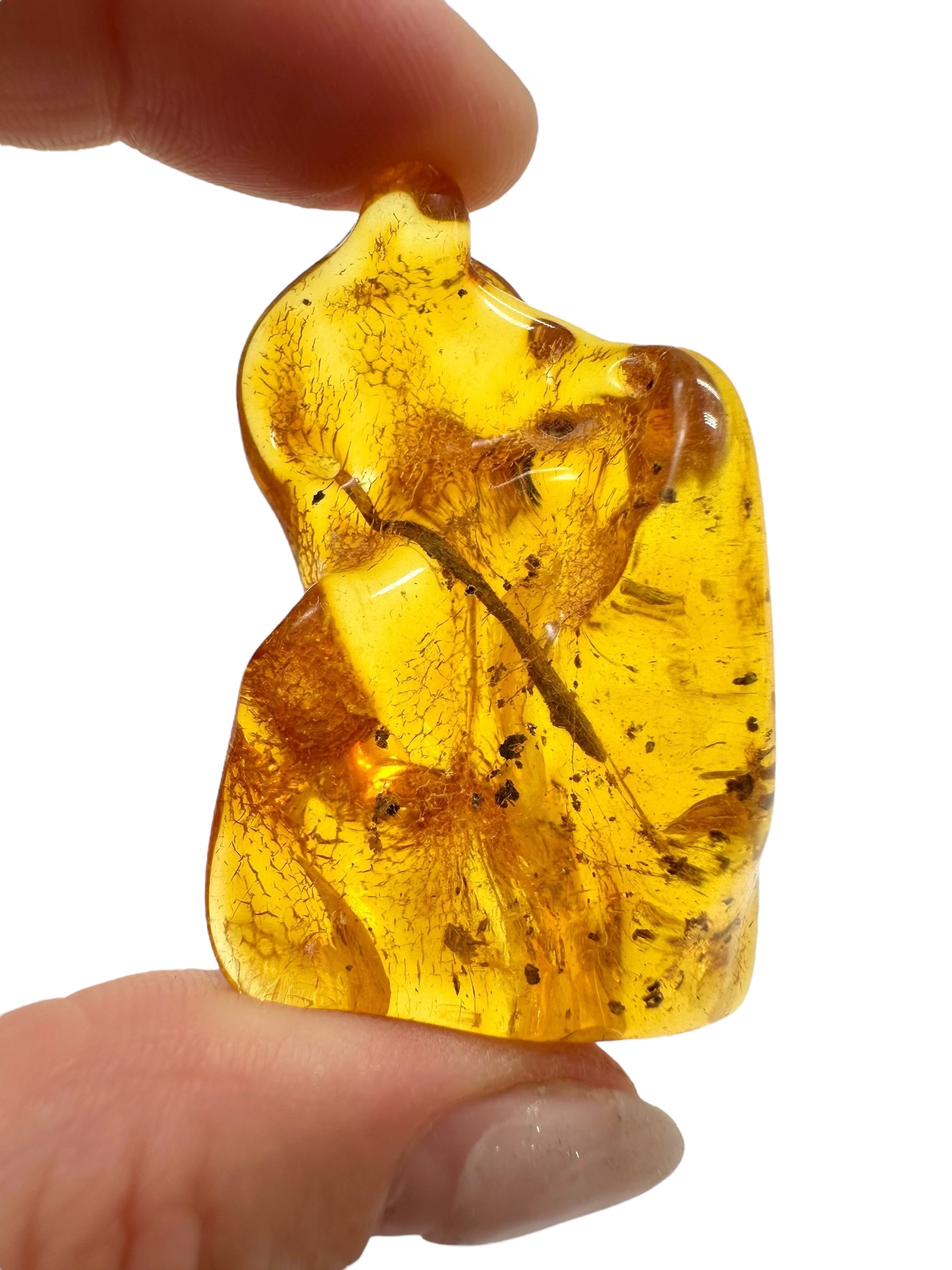 Amber 12,9g – Lithuania - JN514