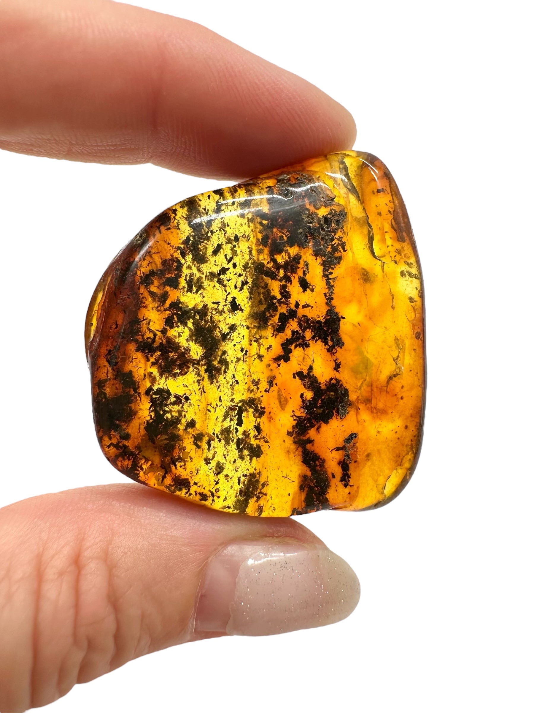 Amber 10,8g – Lithuania - JN515