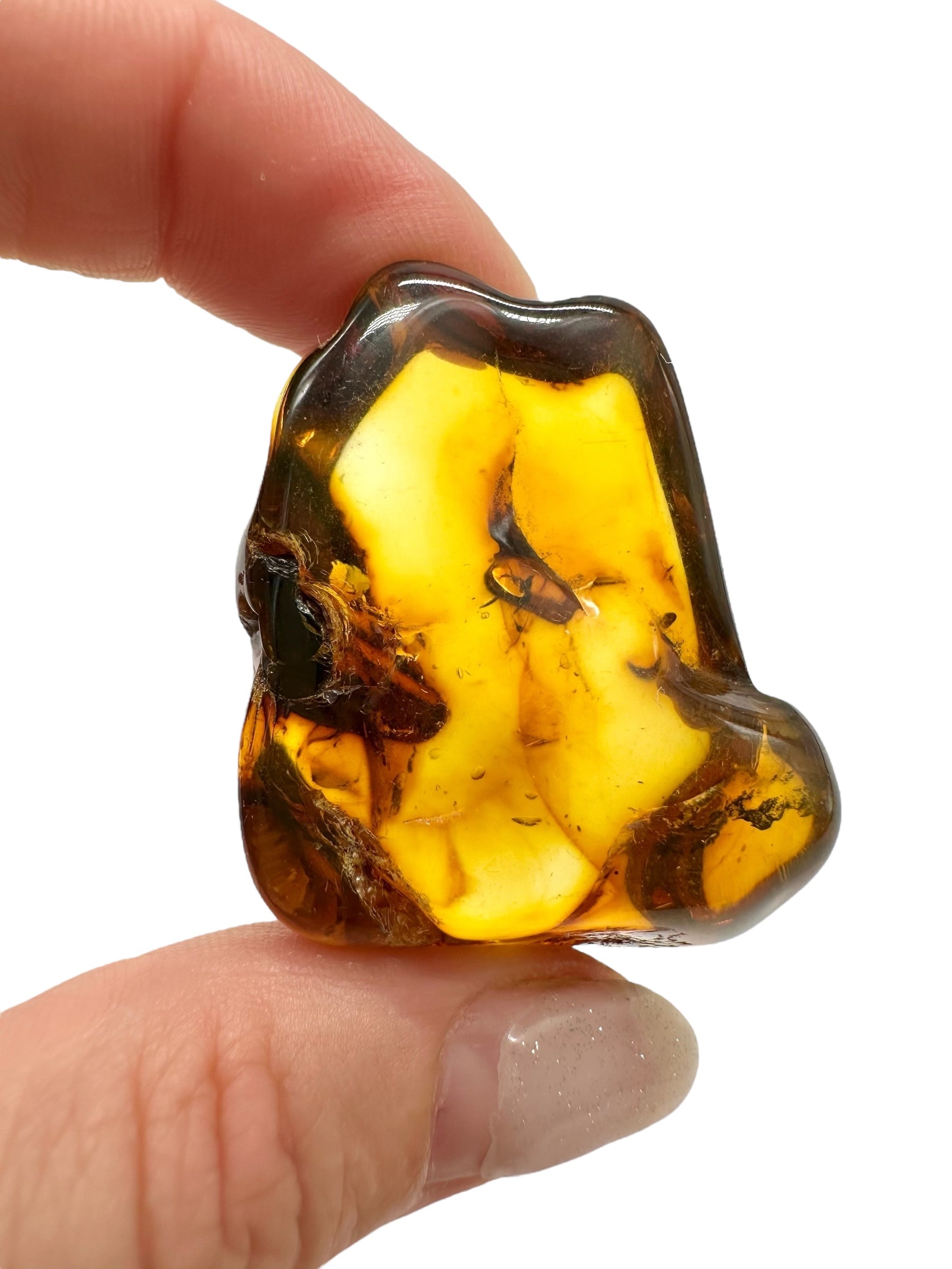 Amber 13,5g – Lithuania - JN517