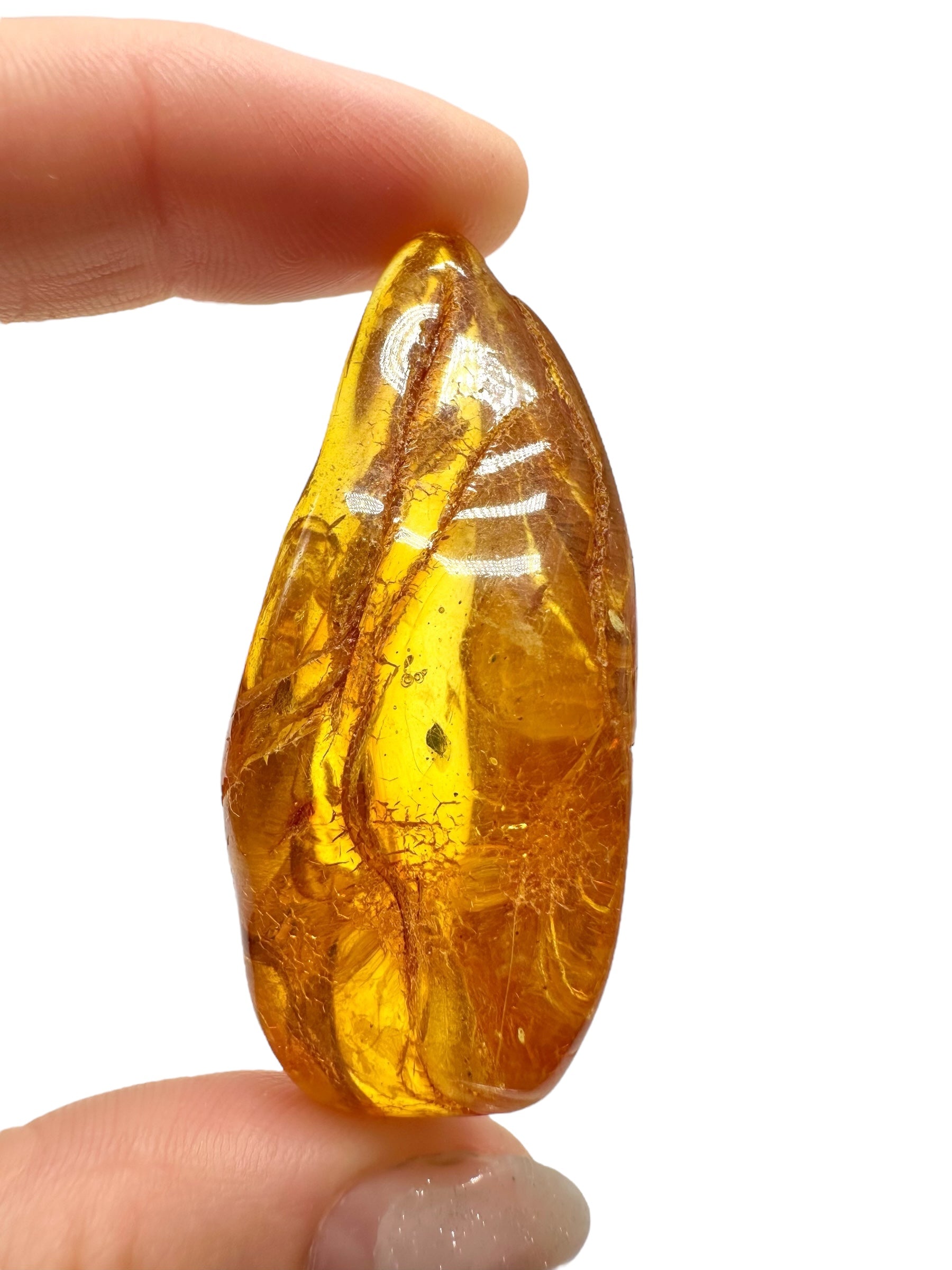 Amber 10,3g – Lithuania - JN518