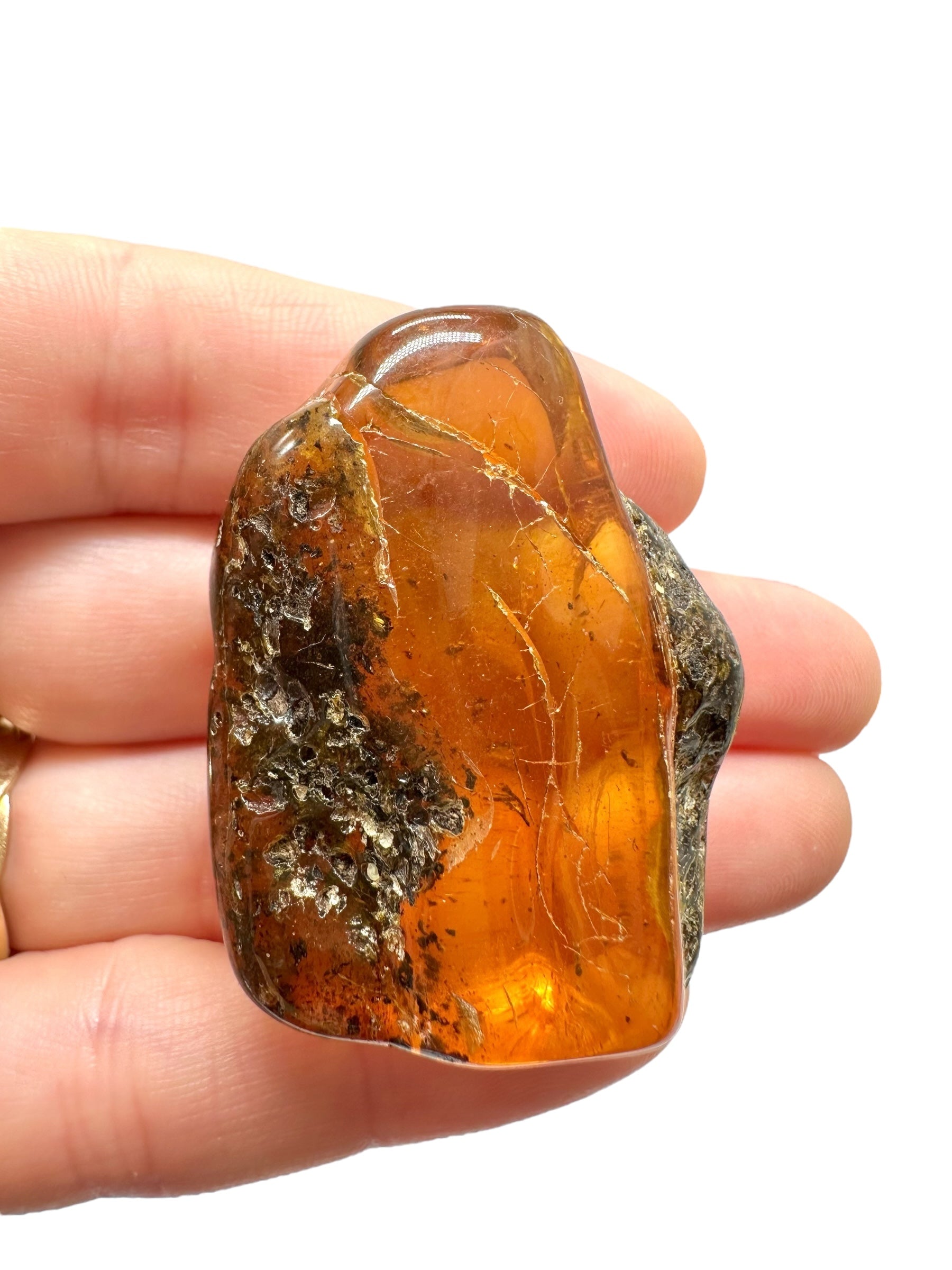 Amber 13,7g – Lithuania - JN519