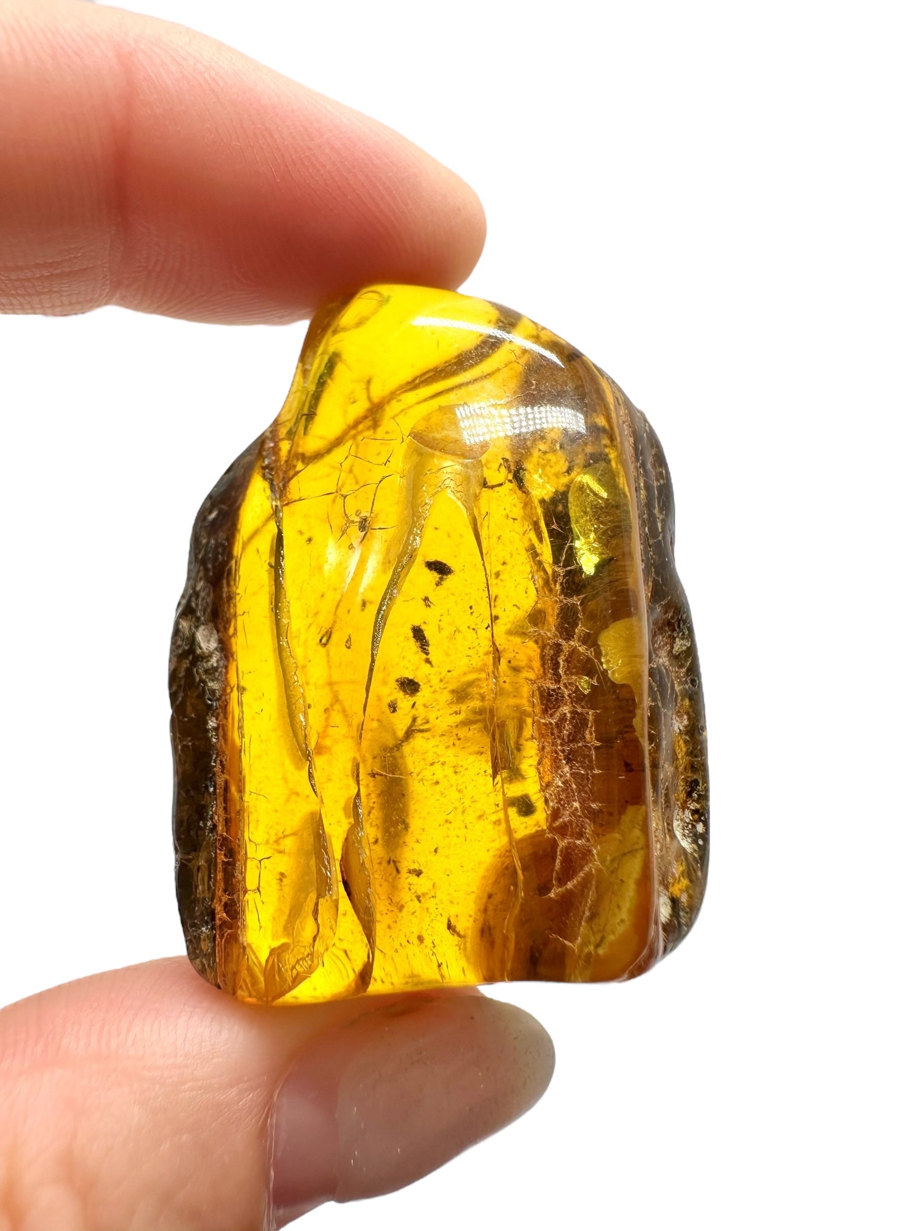 Amber 13,7g – Lithuania - JN519