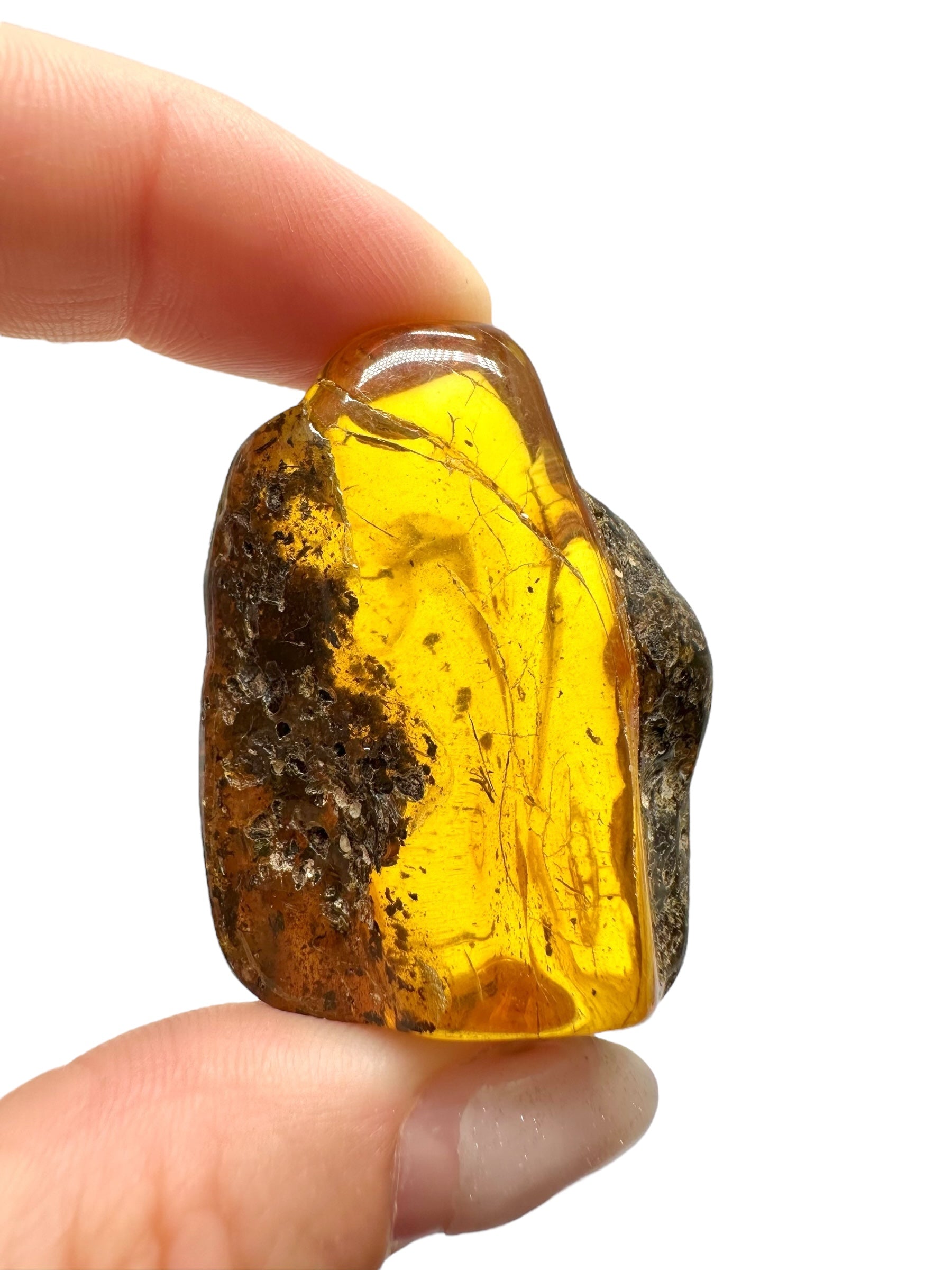 Amber 13,7g – Lithuania - JN519