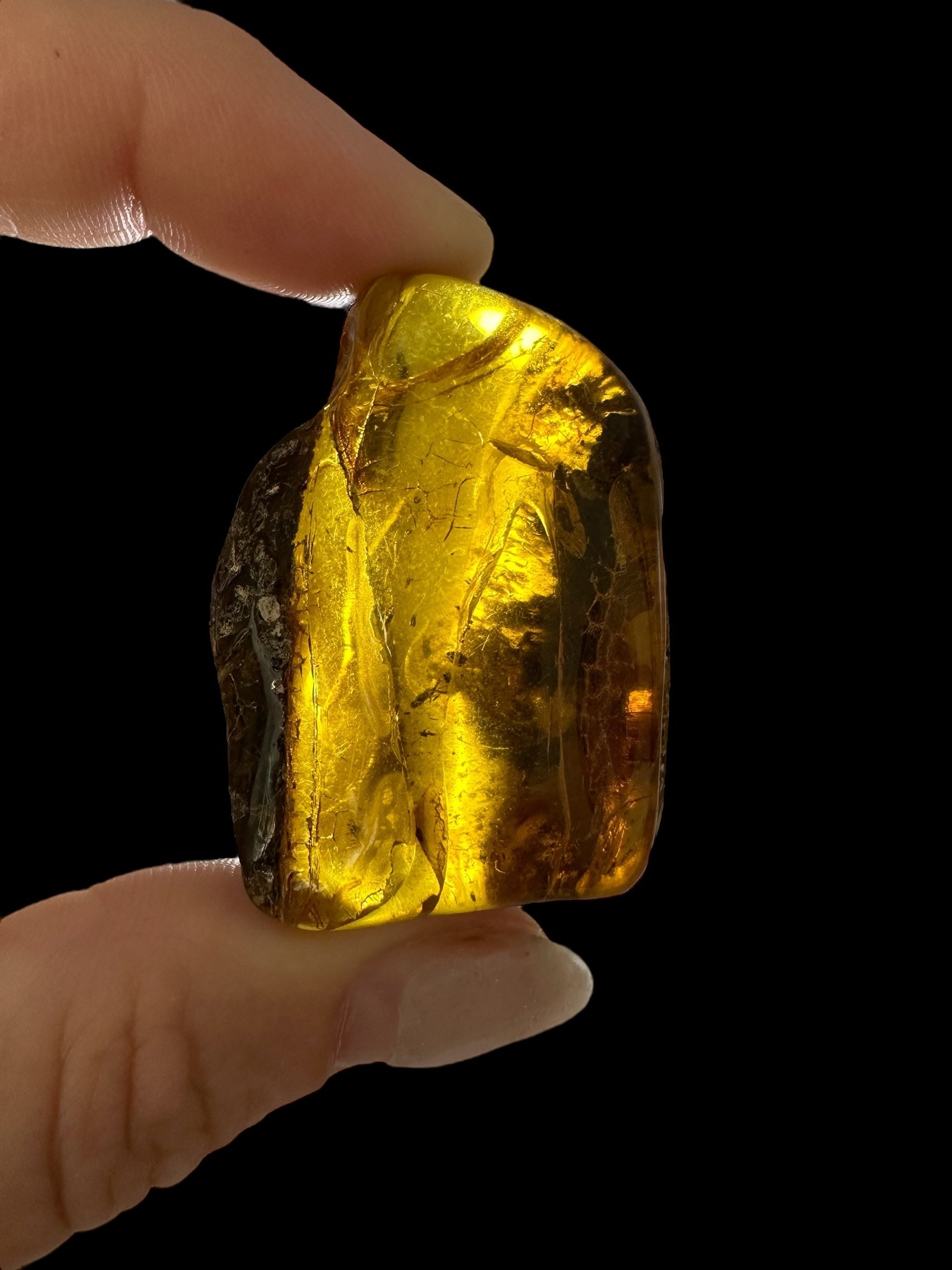 Amber 13,7g – Lithuania - JN519