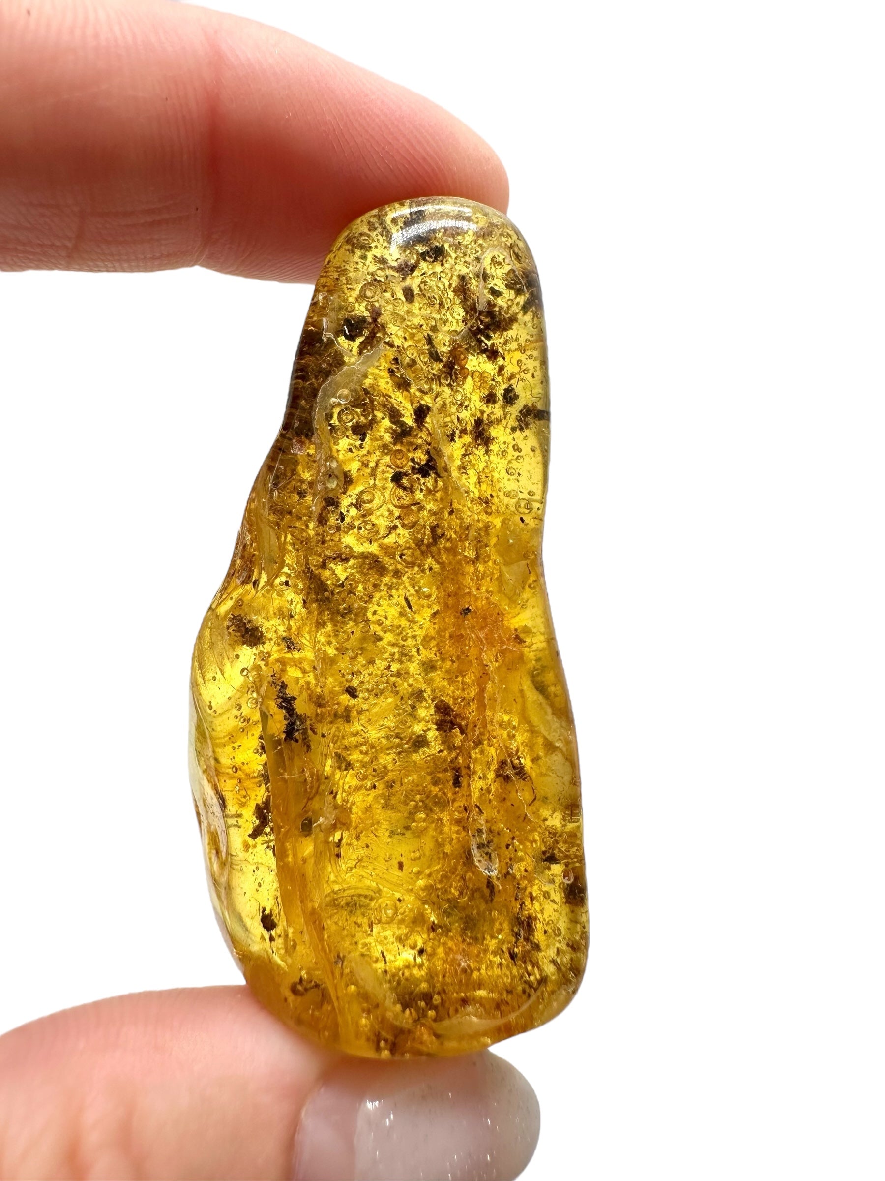 Amber 13,9g – Lithuania - JN520