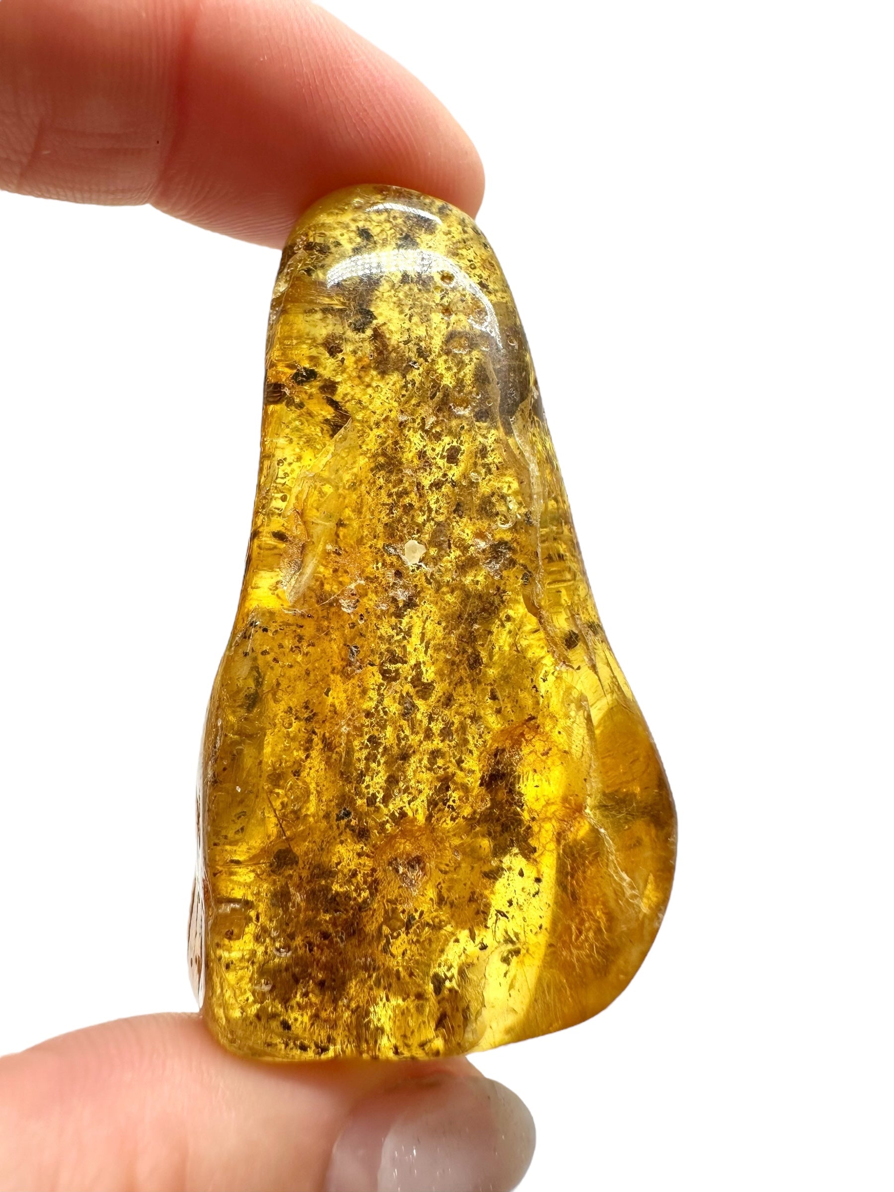Amber 13,9g – Lithuania - JN520