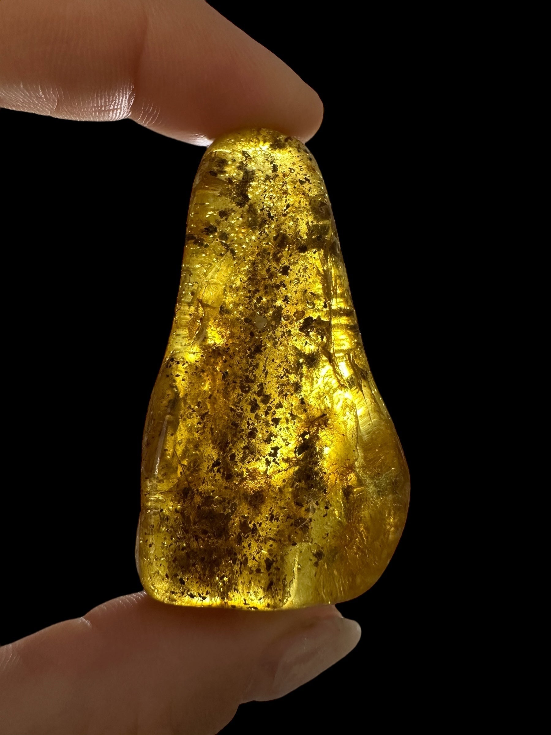 Amber 13,9g – Lithuania - JN520