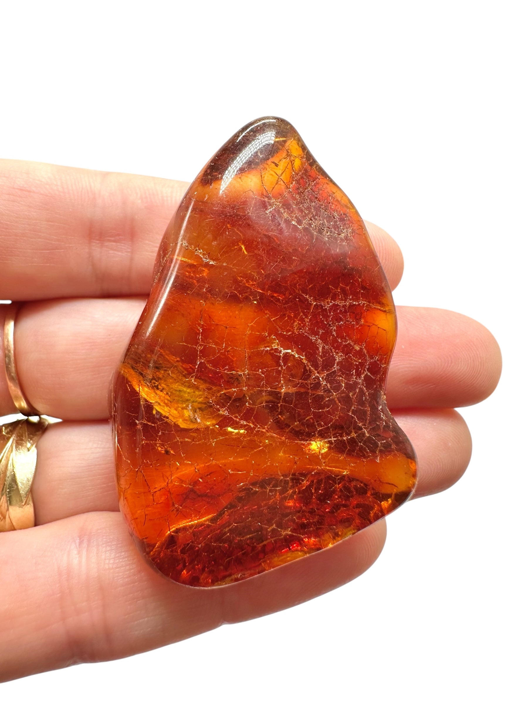 Amber 14,1g – Lithuania - JN521