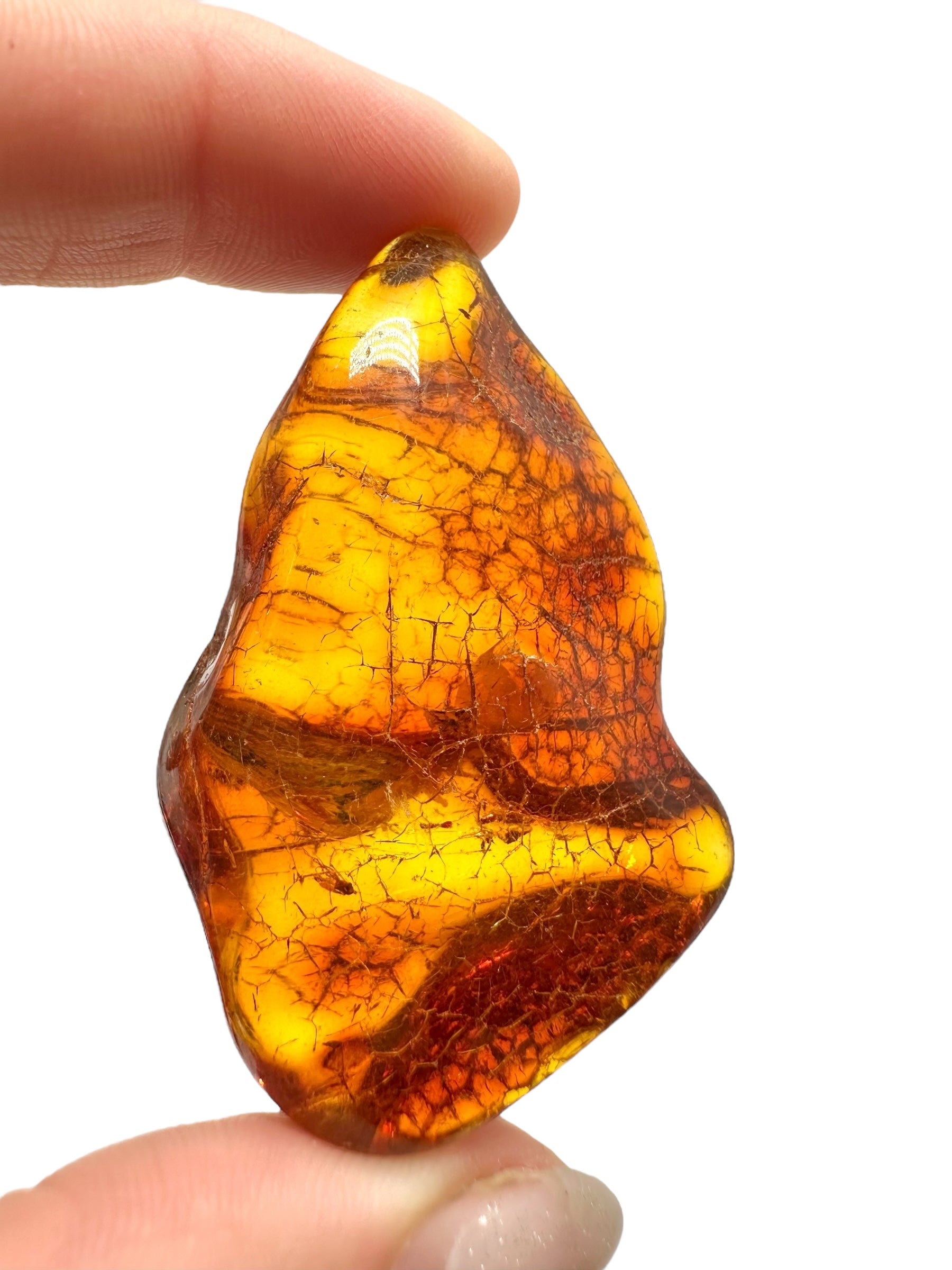 Amber 14,1g – Lithuania - JN521