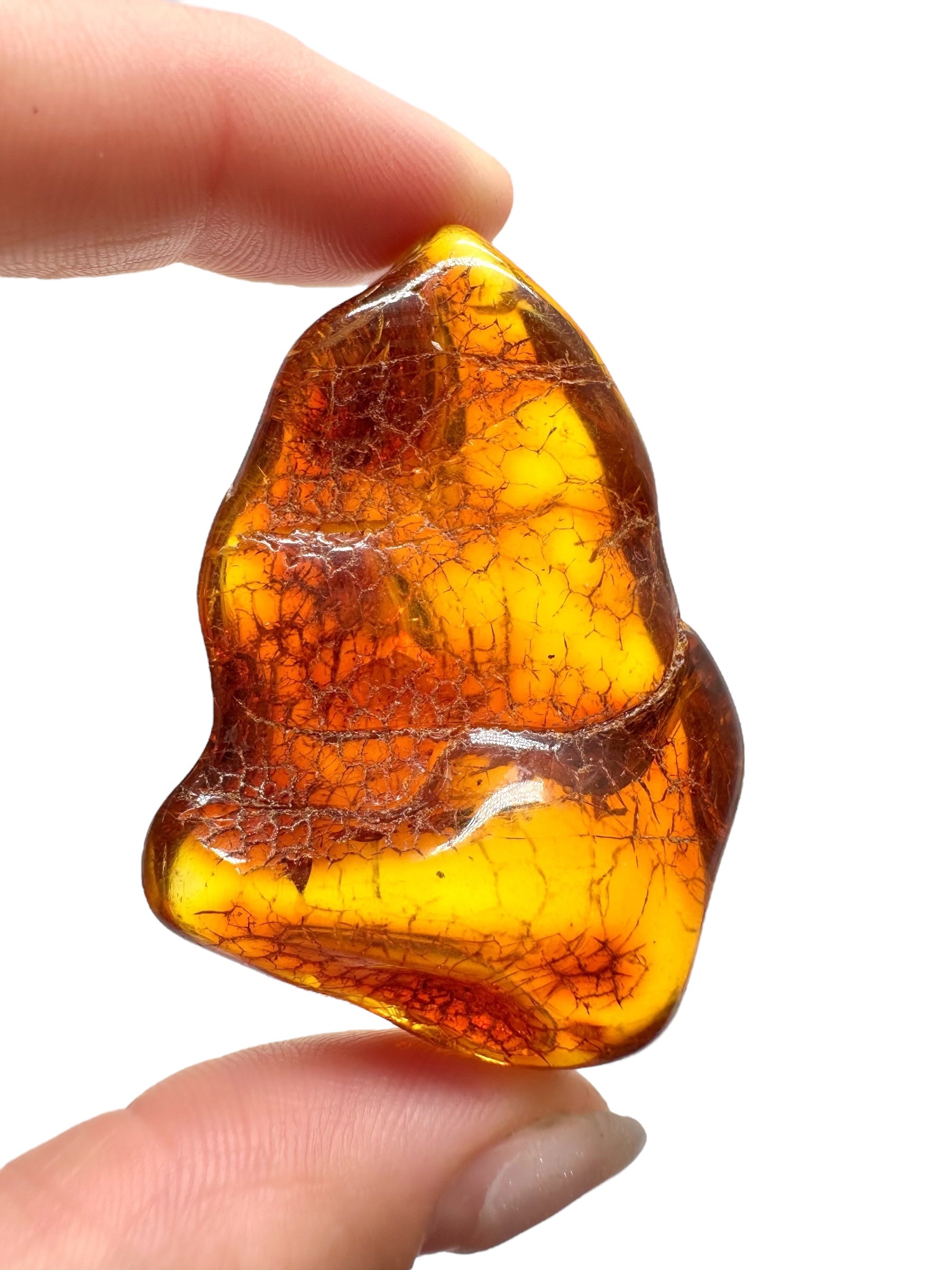Amber 14,1g – Lithuania - JN521