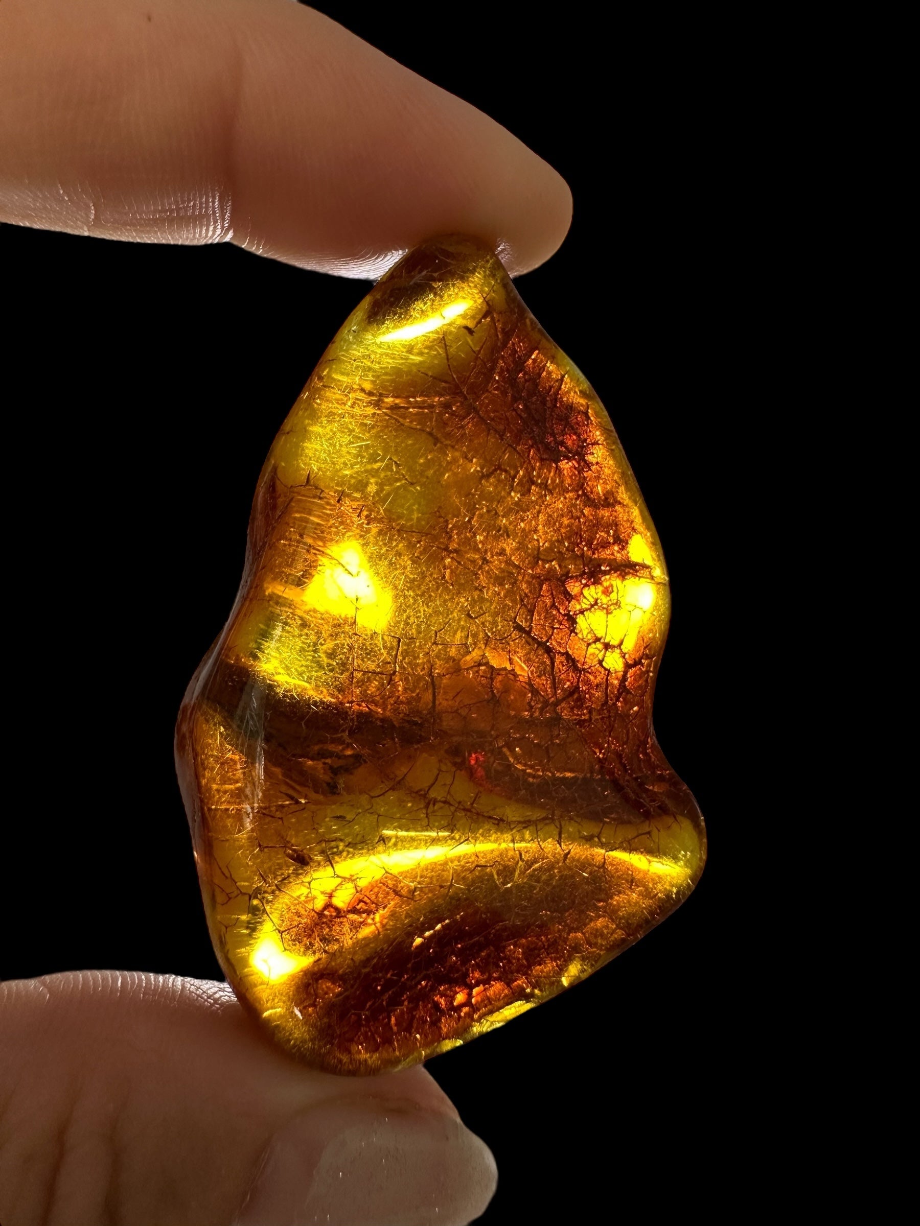 Amber 14,1g – Lithuania - JN521