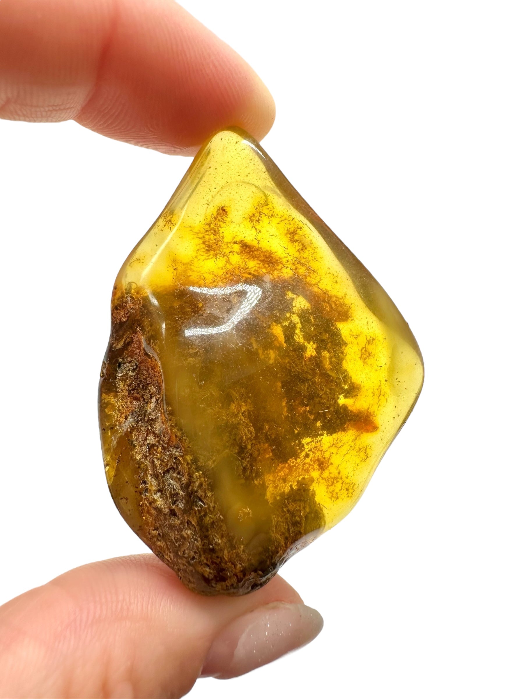 Amber 12g – Lithuania - JN522
