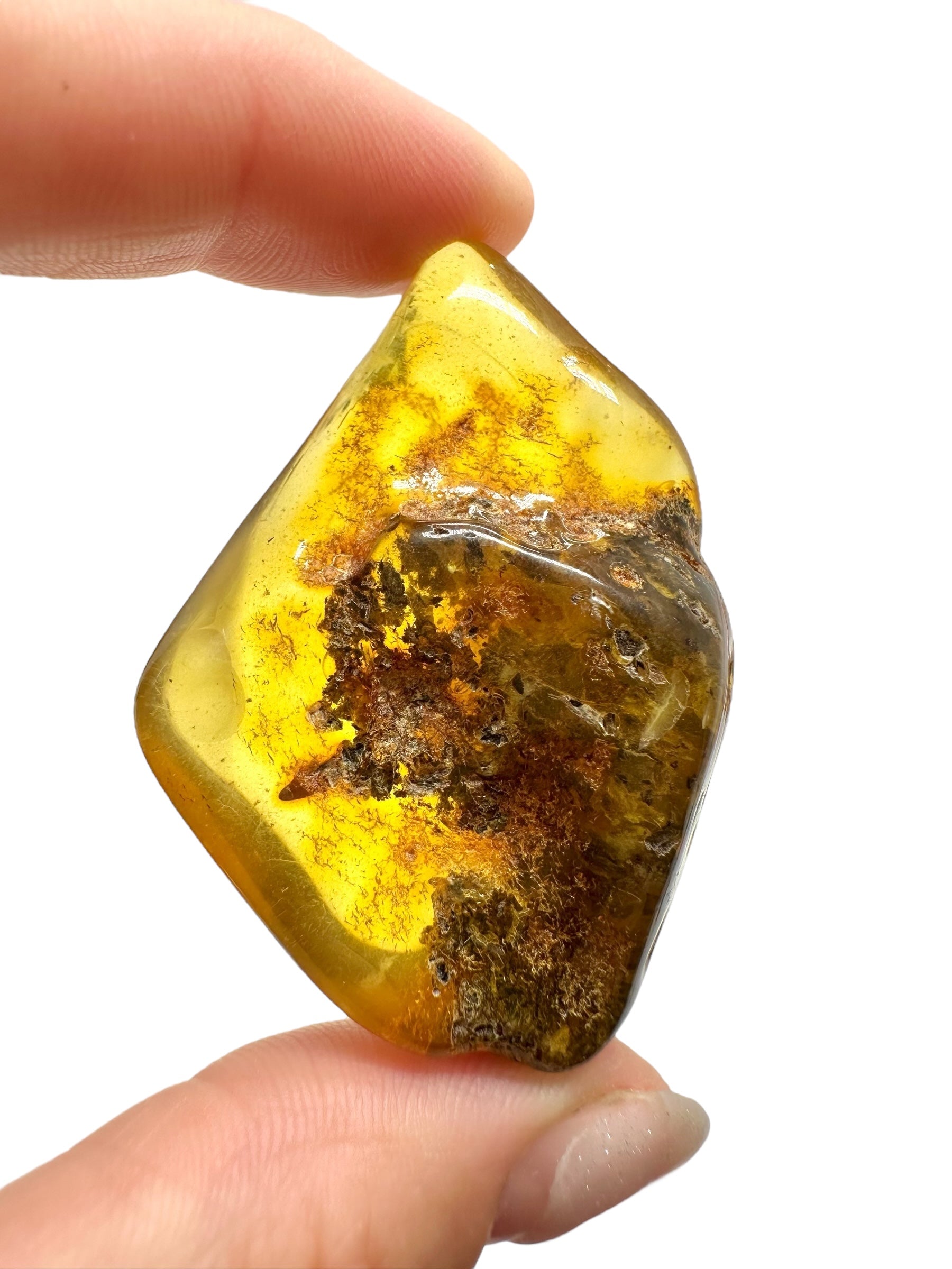 Amber 12g – Lithuania - JN522