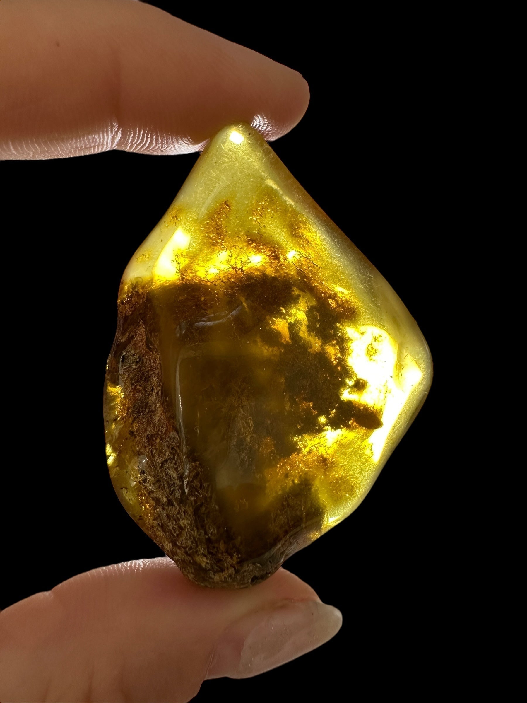 Amber 12g – Lithuania - JN522