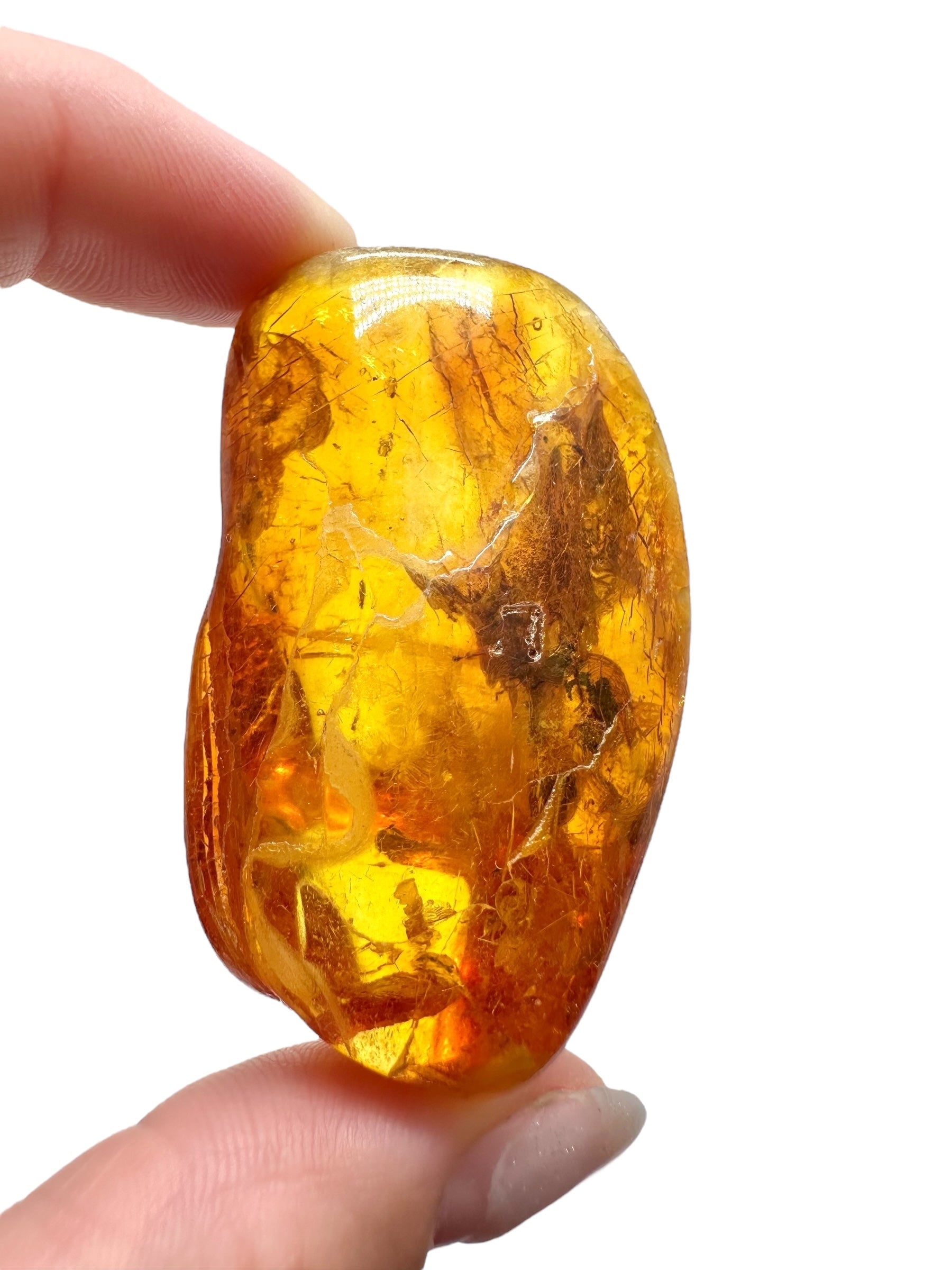Amber 15g – Lithuania - JN523